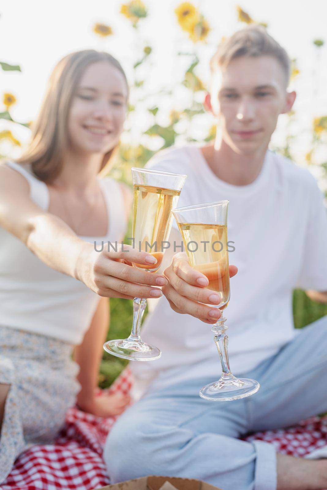 Young teenage couple picnic on sunflower field in sunset drinking champagne