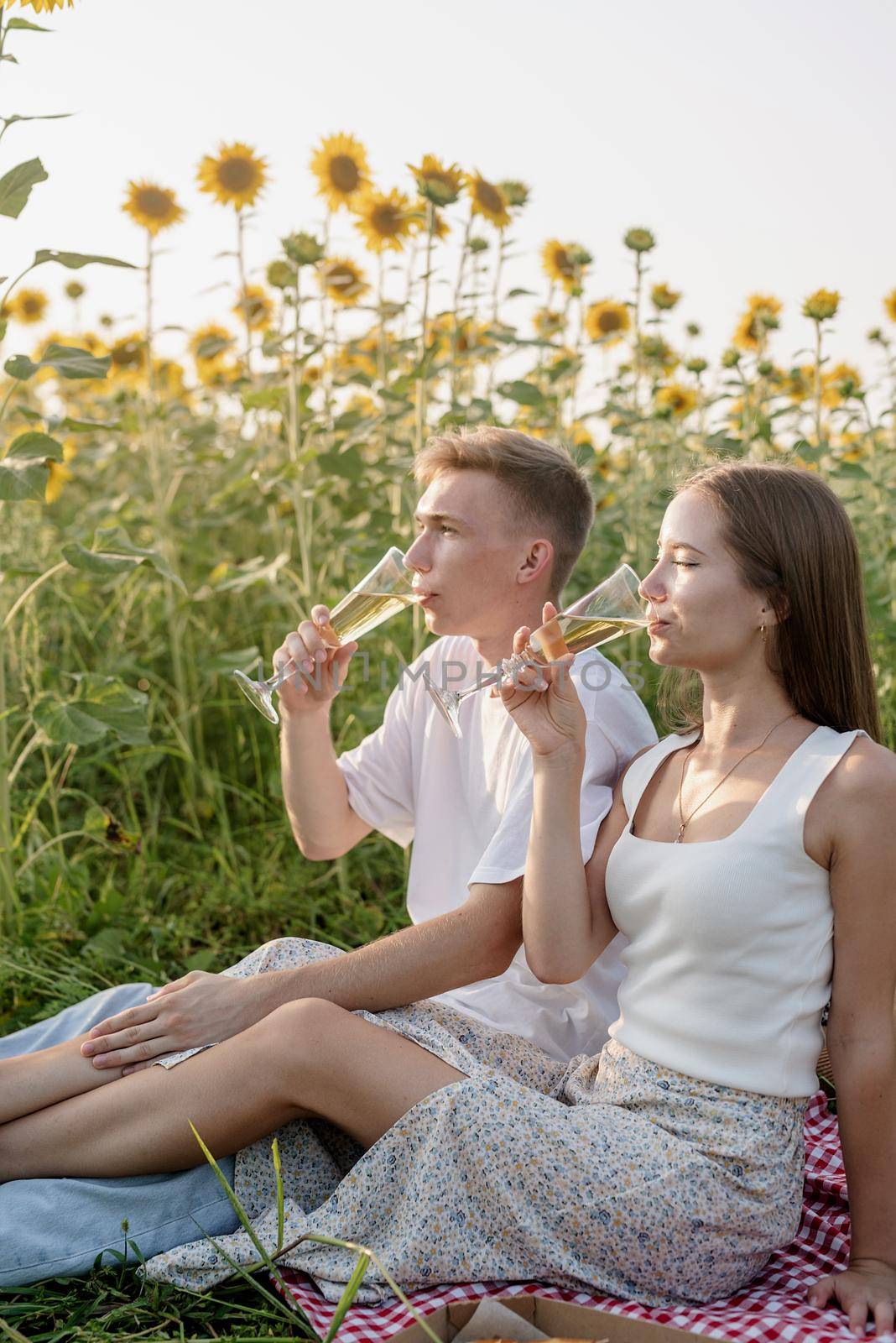 Autumn nature. Fun and liesure. Young teenage couple picnic on sunflower field in sunset drinking champagne