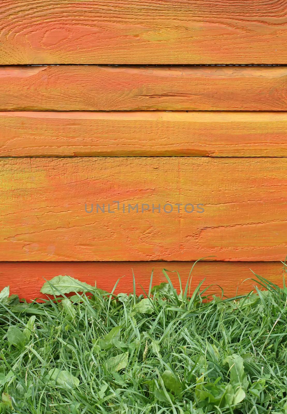 Bouquet of bright summer flowers on colorful wooden boards.