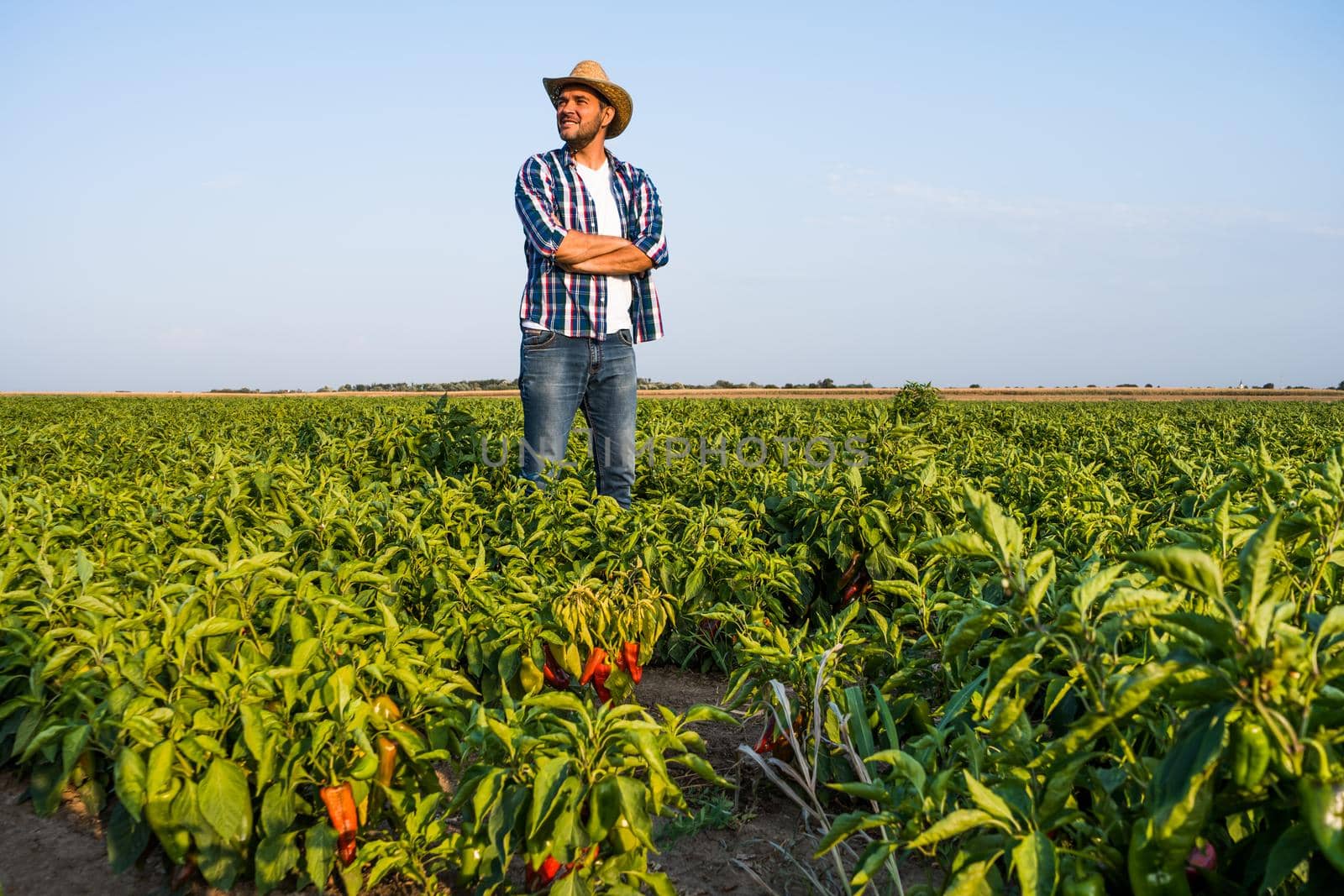 Happy farmer is standing in his pepper plantation.