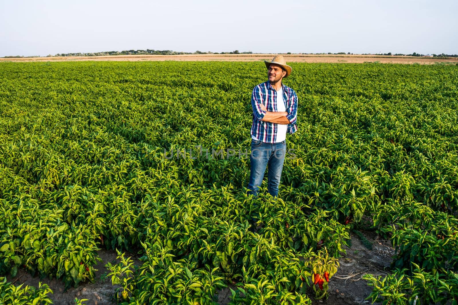 Happy farmer is standing in his pepper plantation.