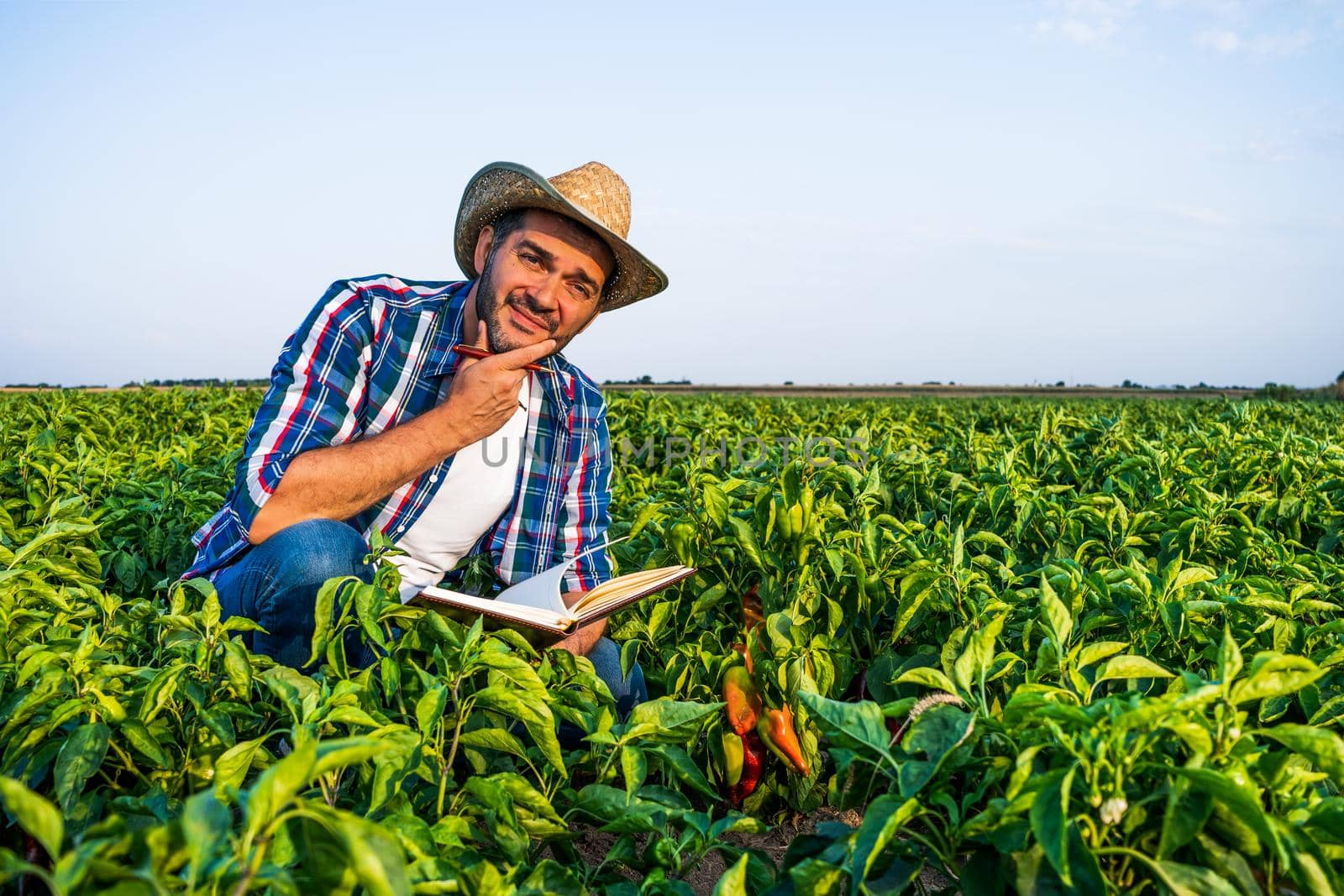 Farmer is examining his pepper plantation. He is worried.