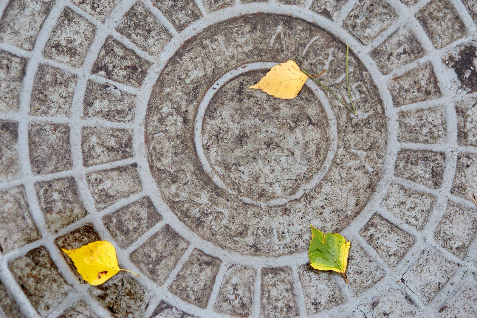 Sewer manhole with yellow autumn. leaves manhole cover top view