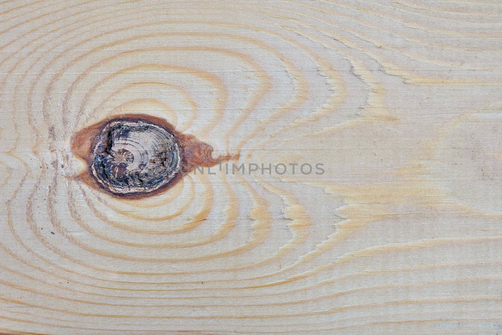 Wood texture. Wood texture for design and decoration.