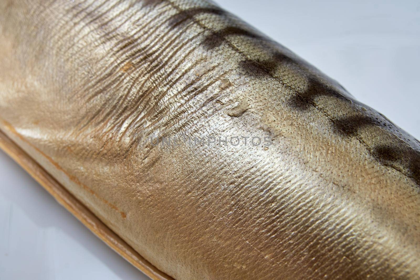a piece of cold smoked mackerel on a white plate