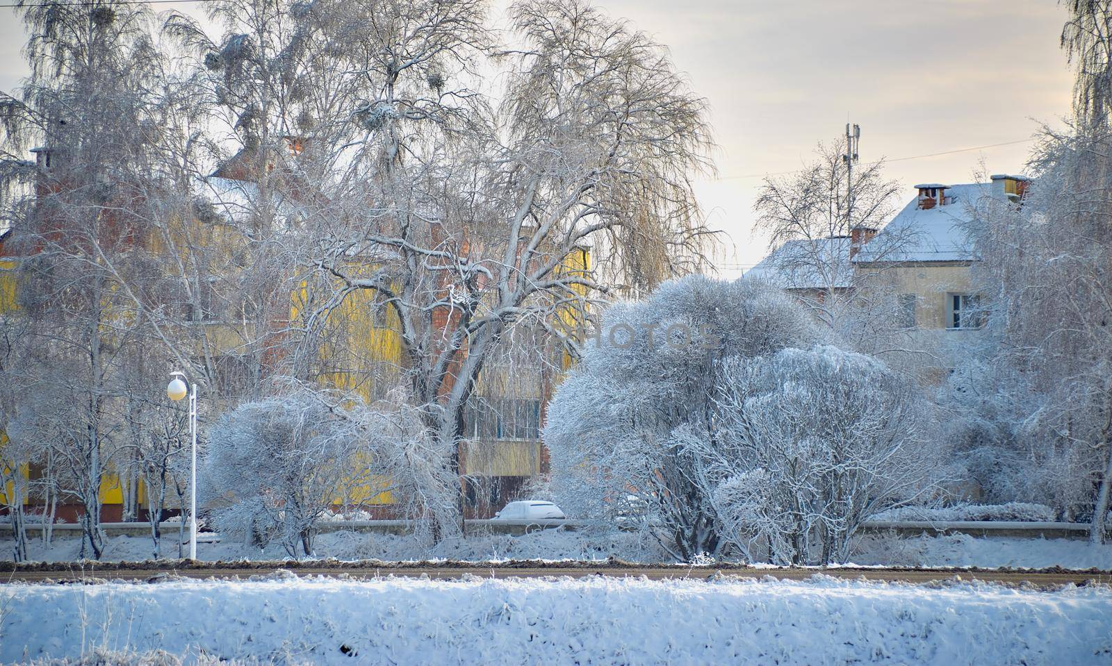 Winter landscape of frosty trees in the city in the morning.Frost on the trees