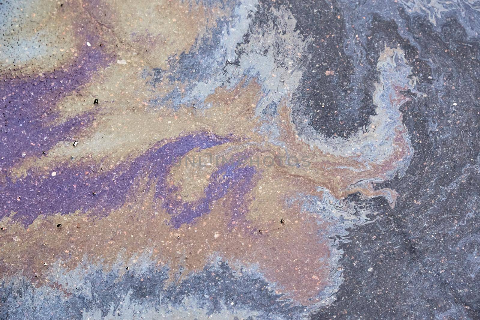 Oil slick looks like a bird on the asphalt road background. Oil stain on Asphalt, color Gasoline fuel spots on Asphalt Road as Texture or Background