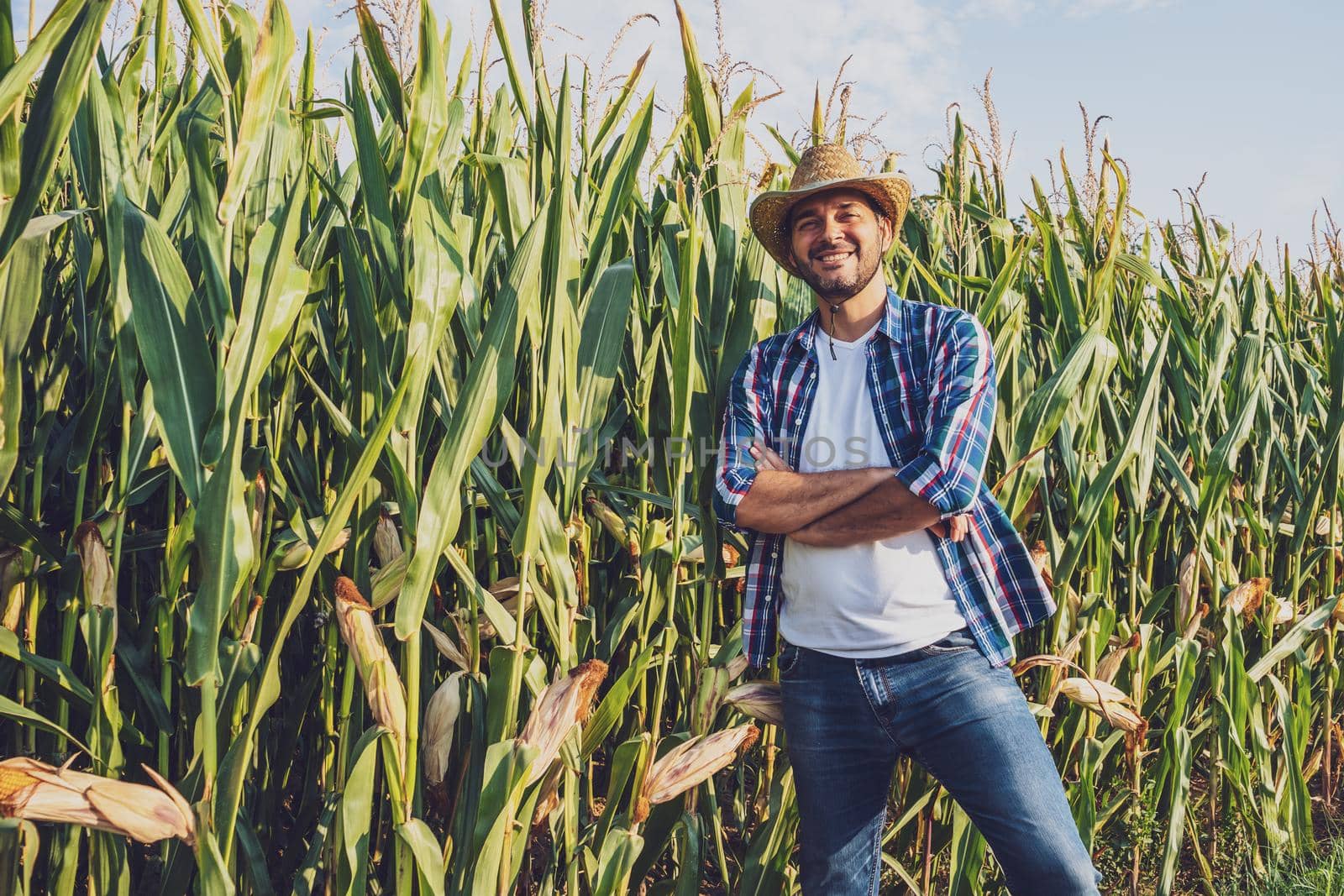 Happy farmer is proudly posing by his growing corn field.