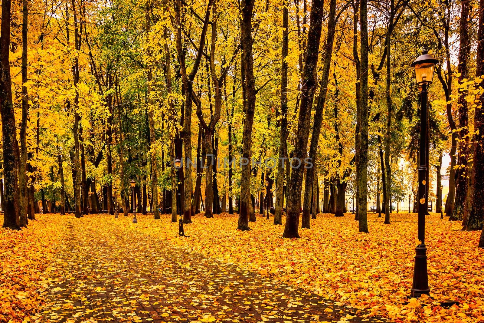 Golden autumn in a city park with trees and fallen leaves on a cloudy day. by Eugene_Yemelyanov