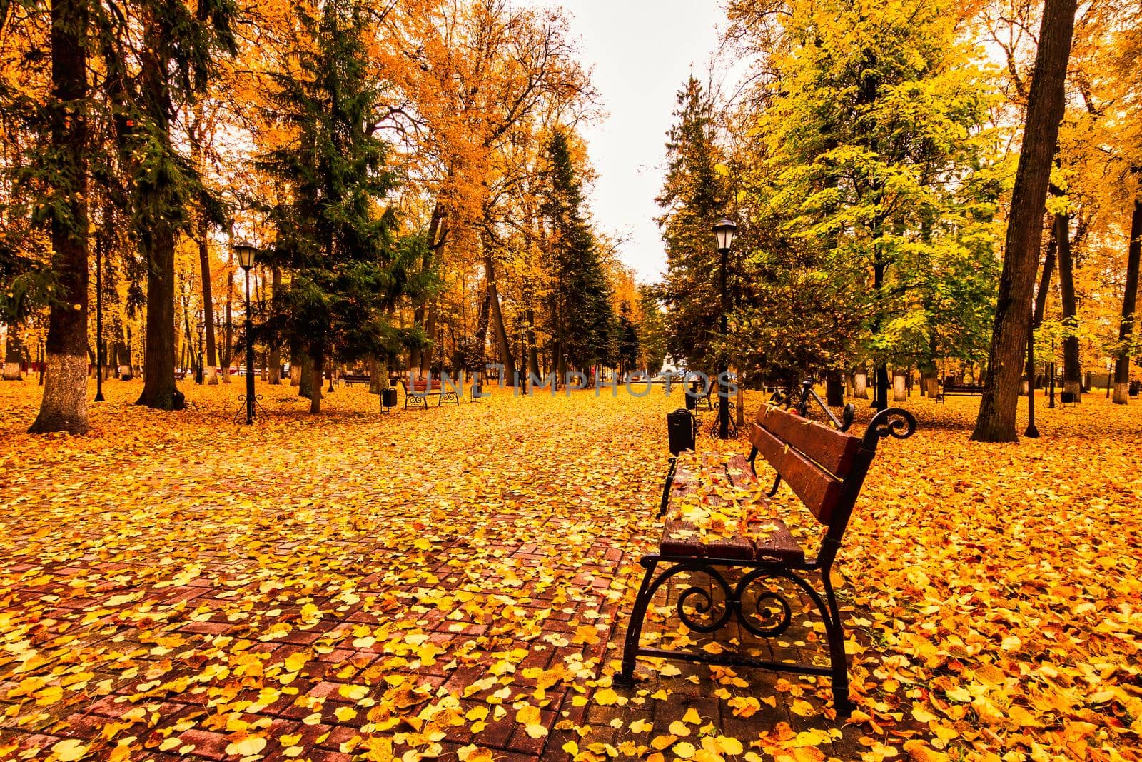 Golden autumn in a city park with trees and fallen leaves on a cloudy day. by Eugene_Yemelyanov