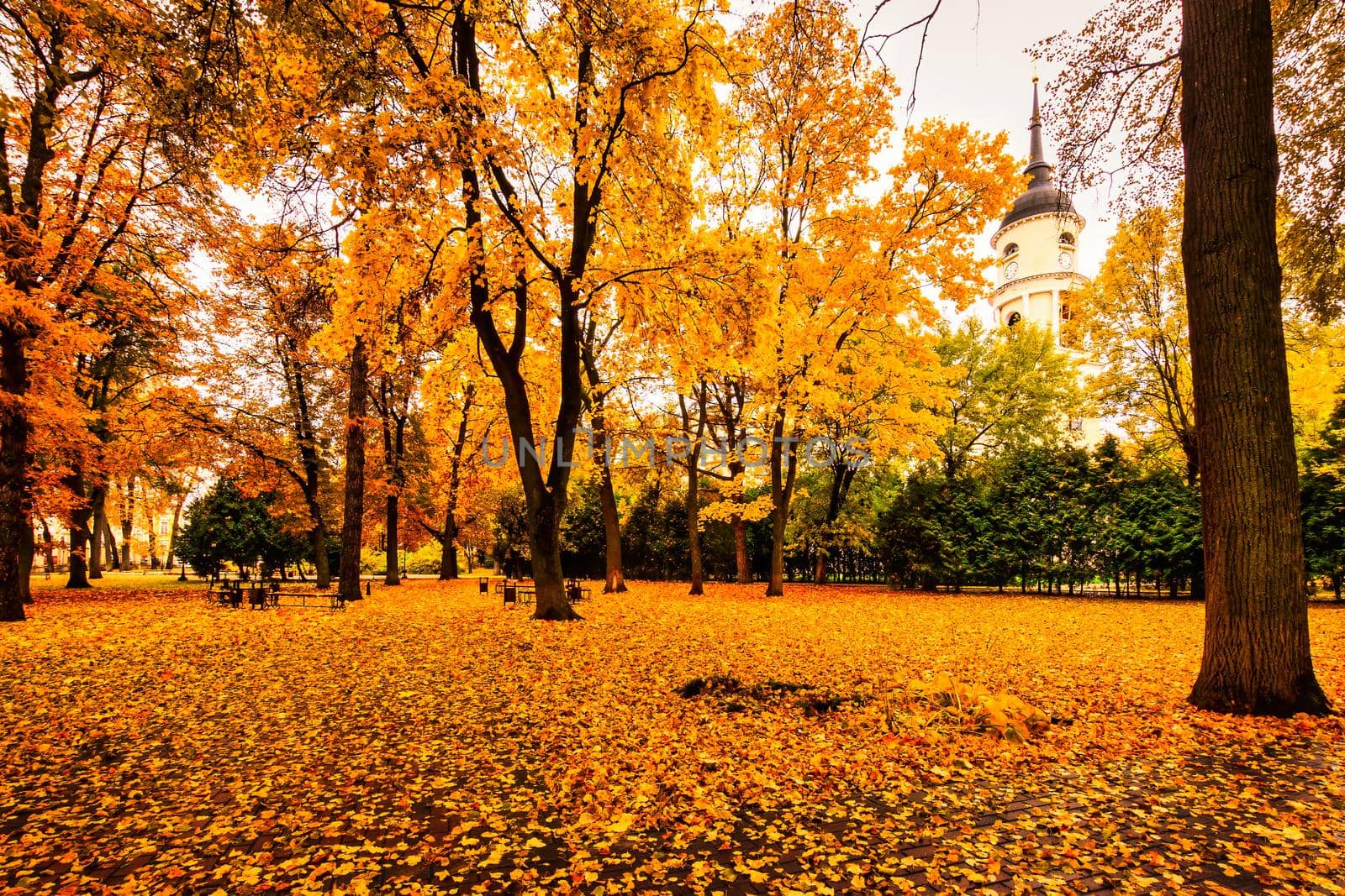 Golden autumn in a city park with trees and fallen leaves on a cloudy day. by Eugene_Yemelyanov
