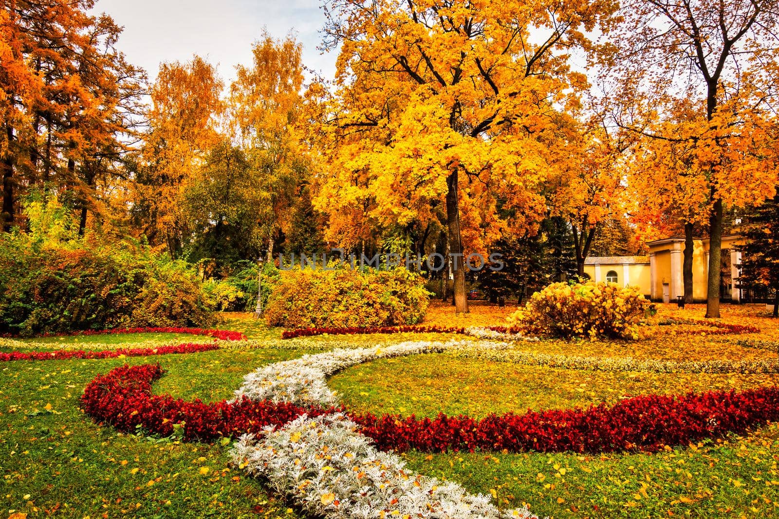 Golden autumn in a city park with trees and fallen leaves on a cloudy day. by Eugene_Yemelyanov