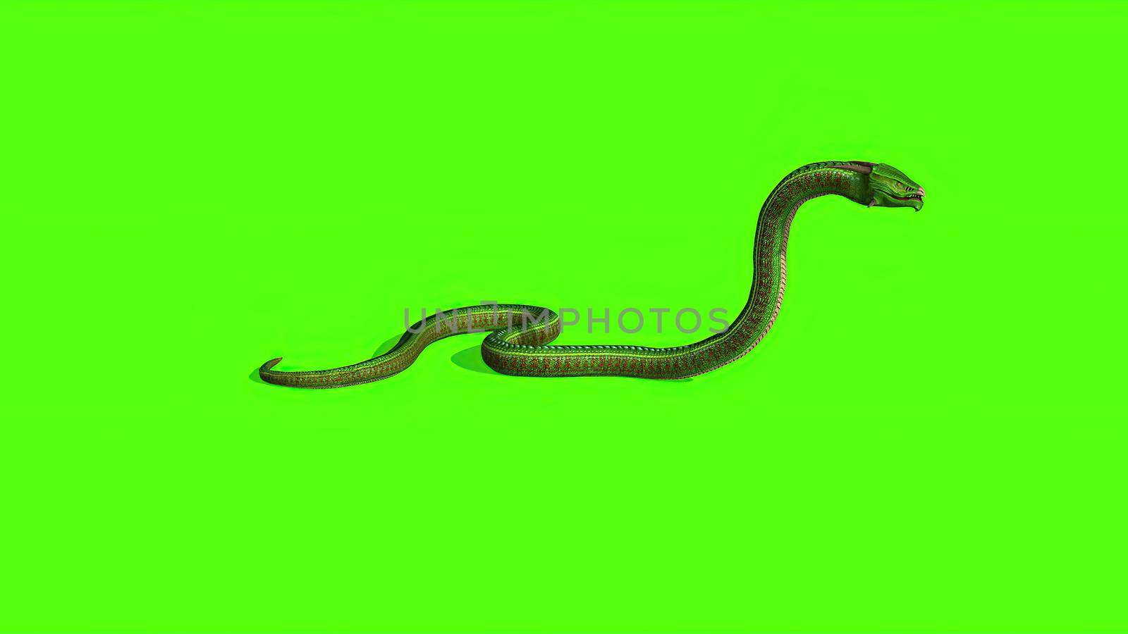 3d illustration - Snake on a Green Screen - background