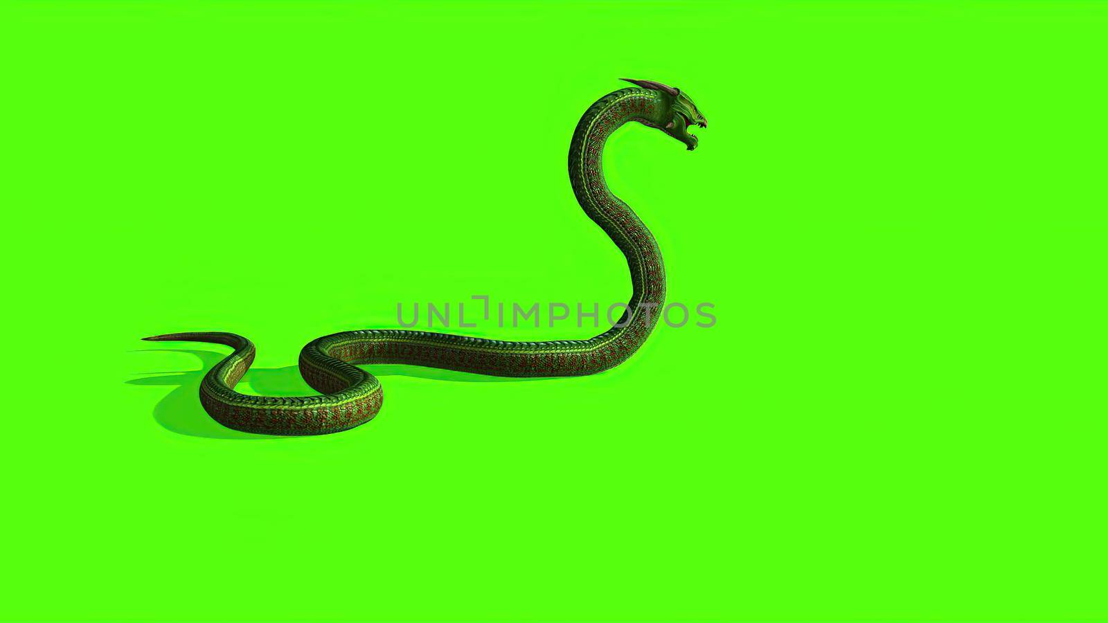 3d illustration - Snake on a Green Screen - background by vitanovski