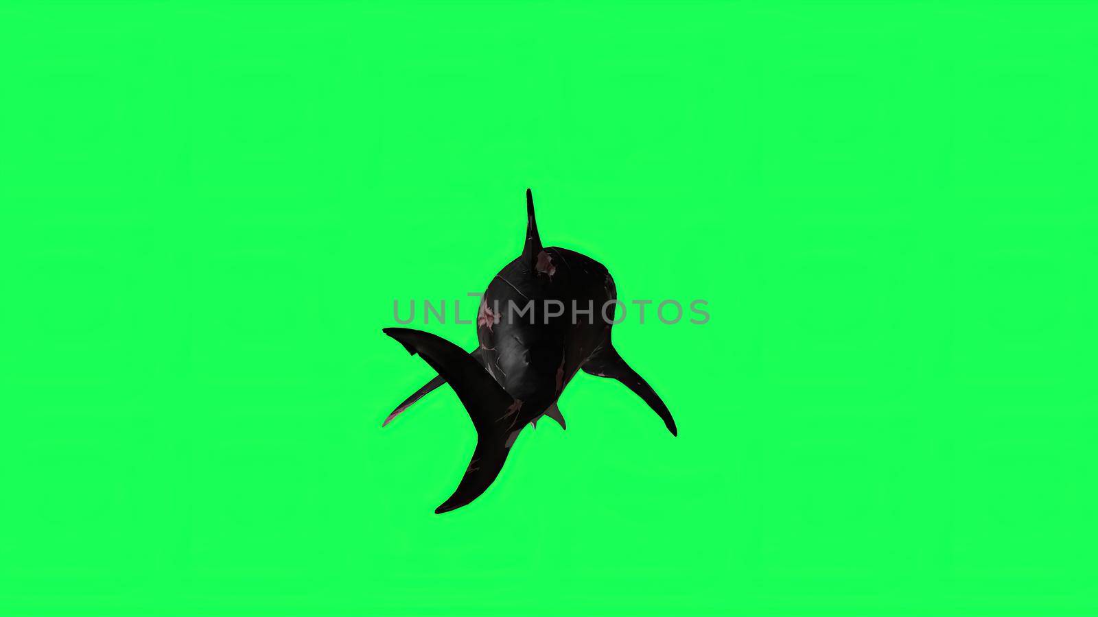 3d illustration - Shark  In A  Green Screen -  background