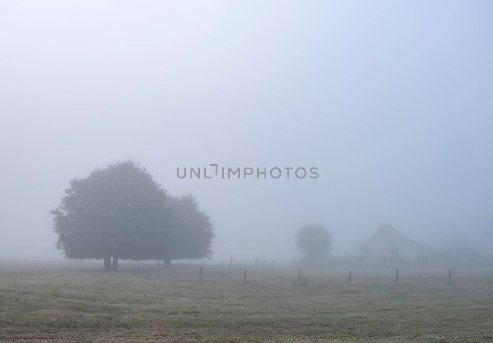 tree and house in early morning summer fog in the countryside of regional park boucles de la seine in french normandy by ahavelaar