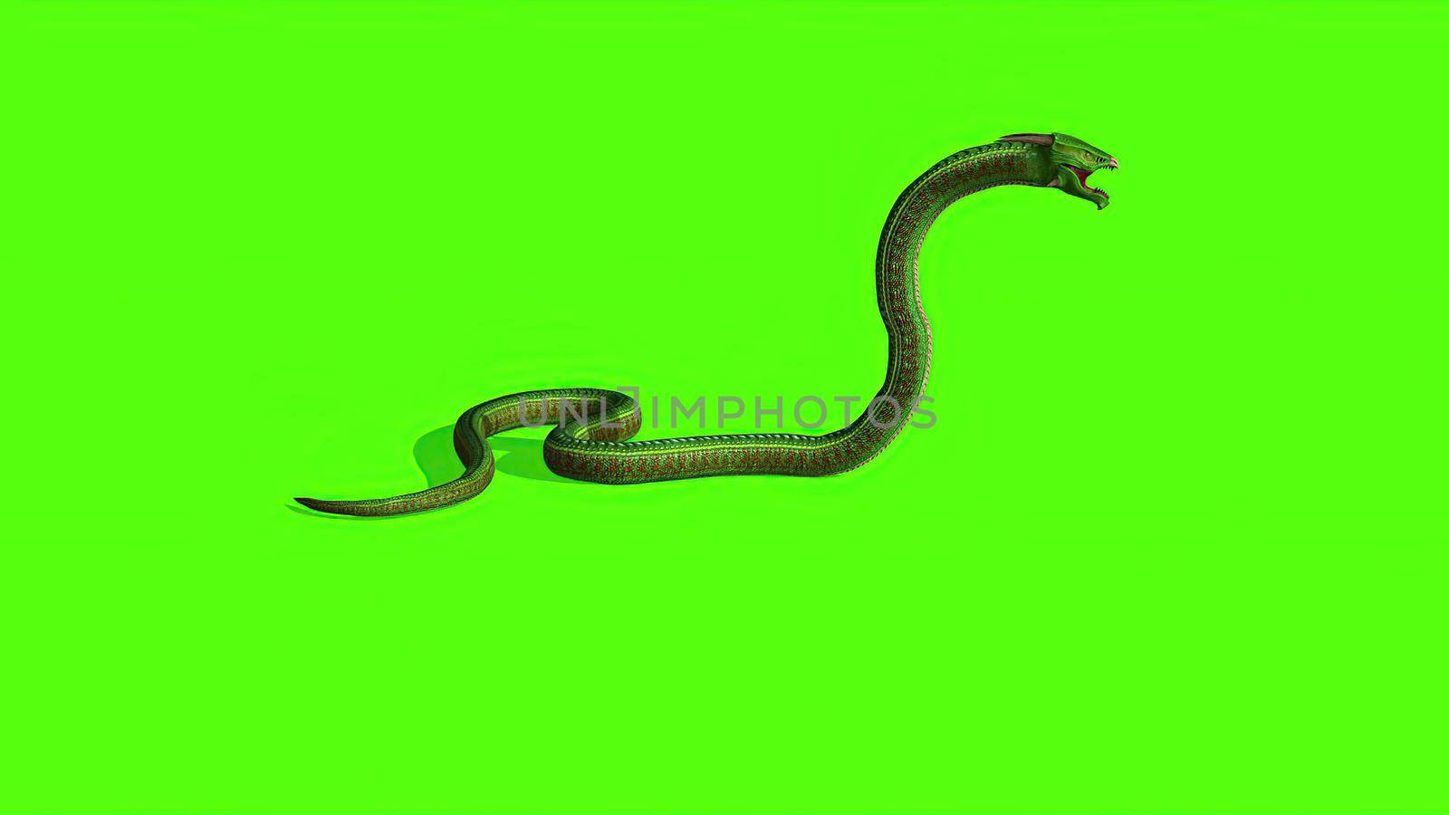 3d illustration - Snake on a Green Screen - background by vitanovski