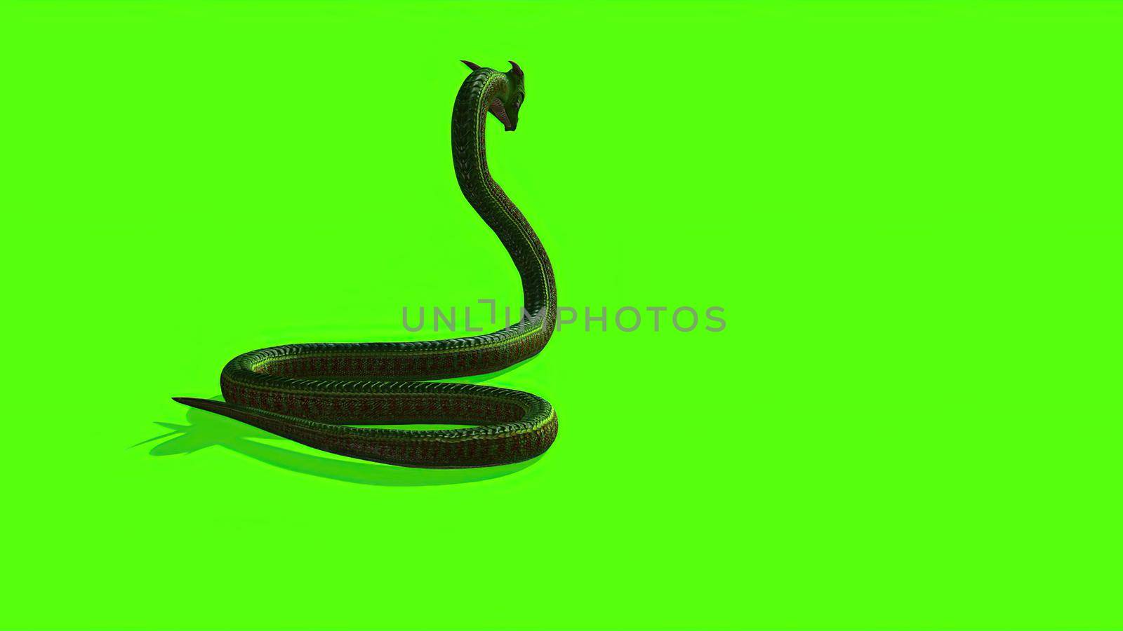 3d illustration - Snake on a Green Screen - background