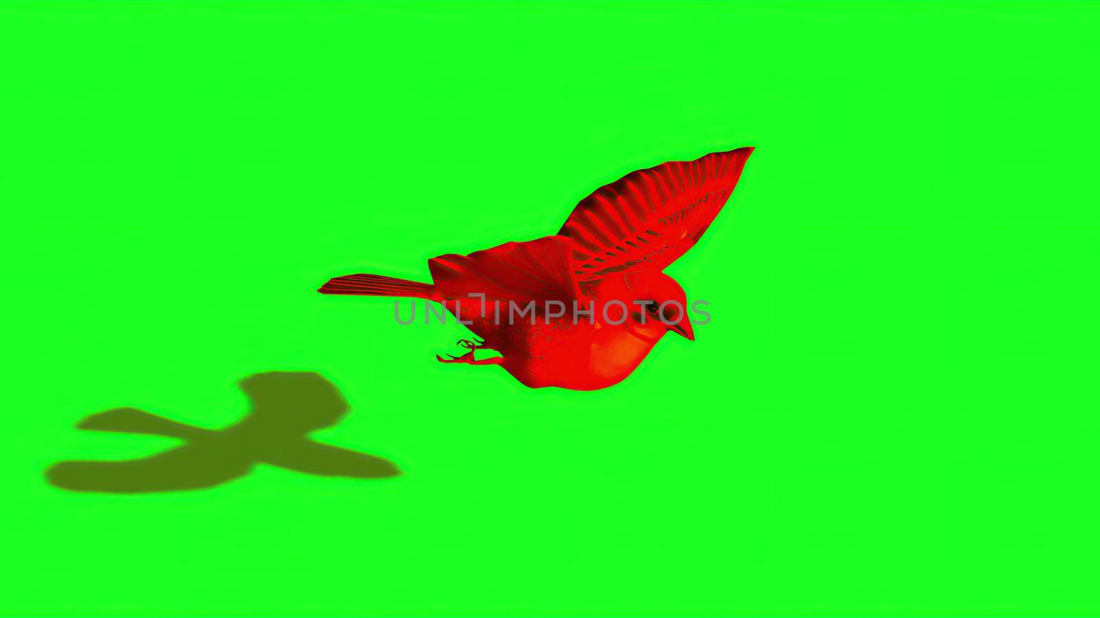 3d illustration - Silhouette of red Sparrow - Green Screen