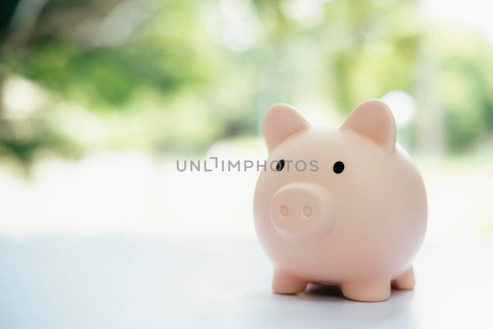 Finnace , Saving money and investment concepts. Piggy bank and coin.