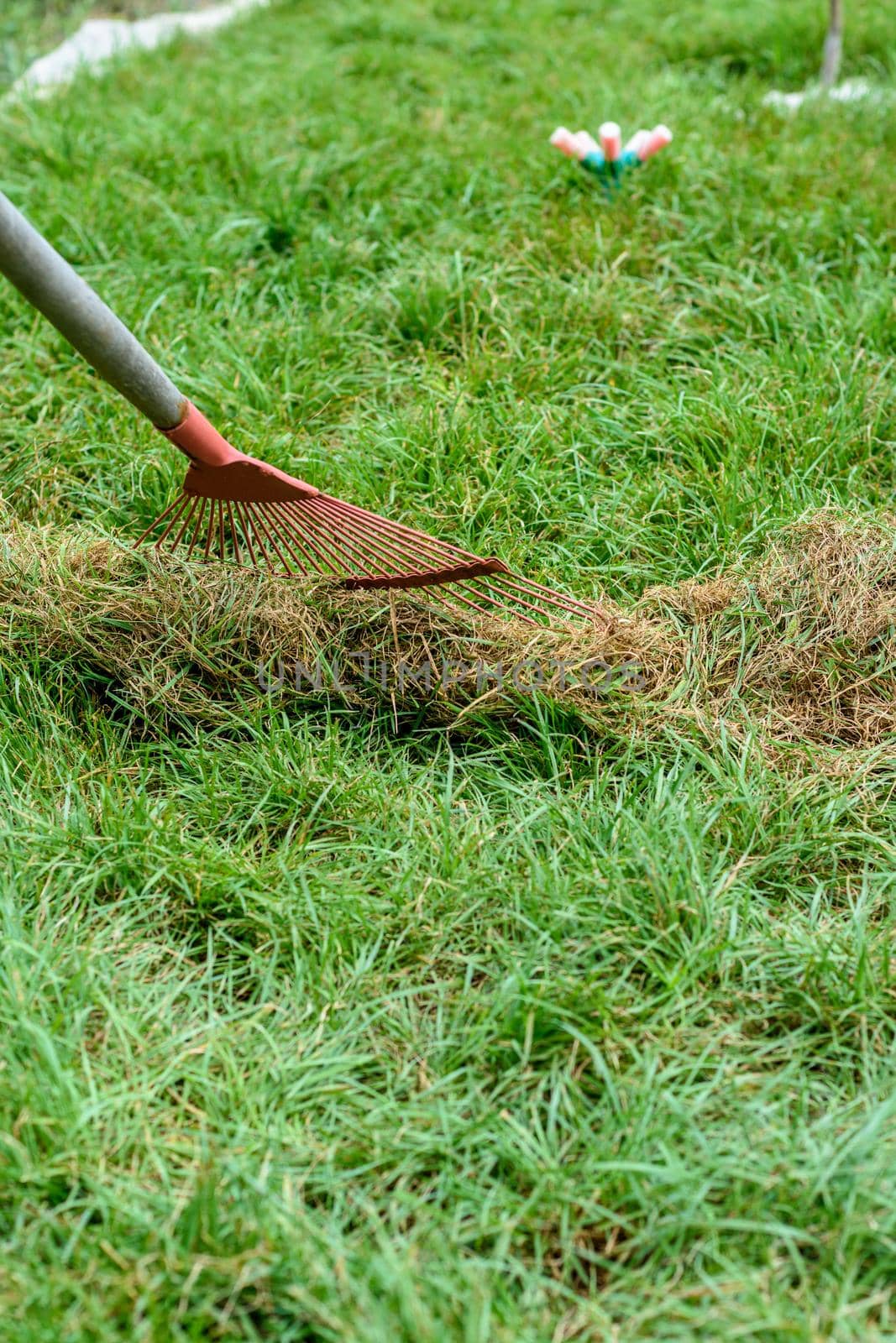 Hand-picking of cut grass with a fan rake by Madhourse