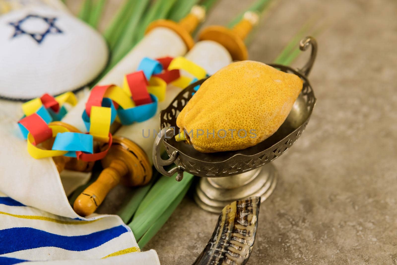 Jewish Holiday Sukkot traditional symbols four species Etrog lulav hadas arava by ungvar