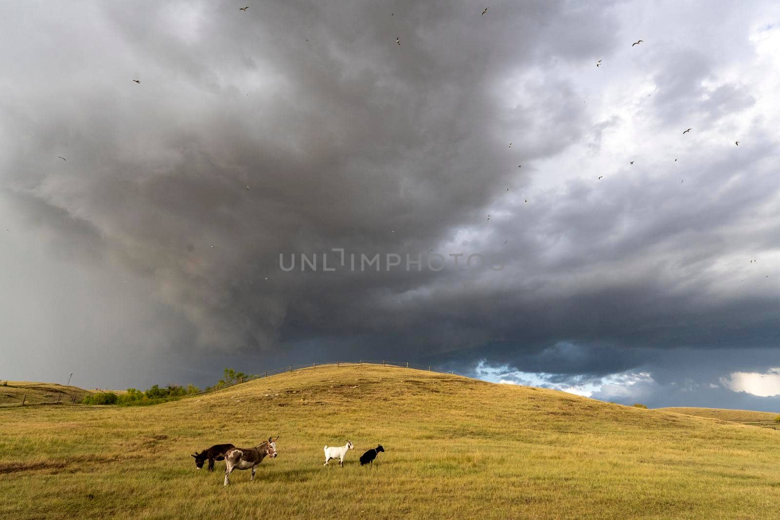 Prairie Storm Canada Summer time clouds warning