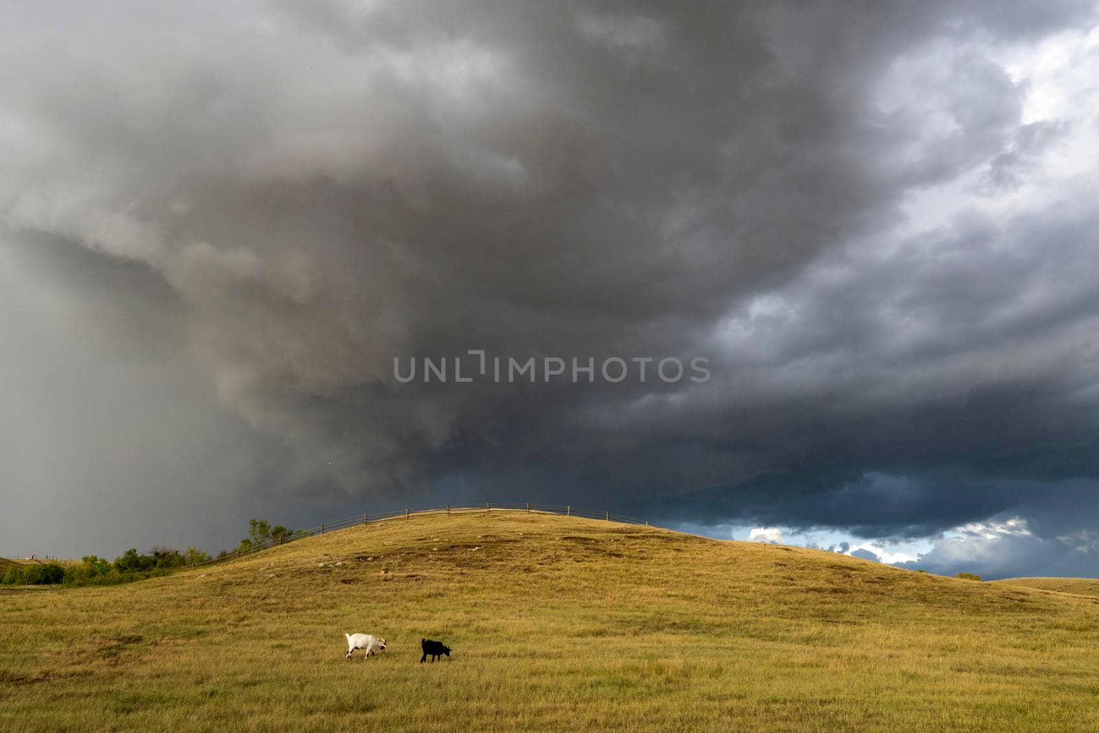 Prairie Storm Canada Summer time clouds warning