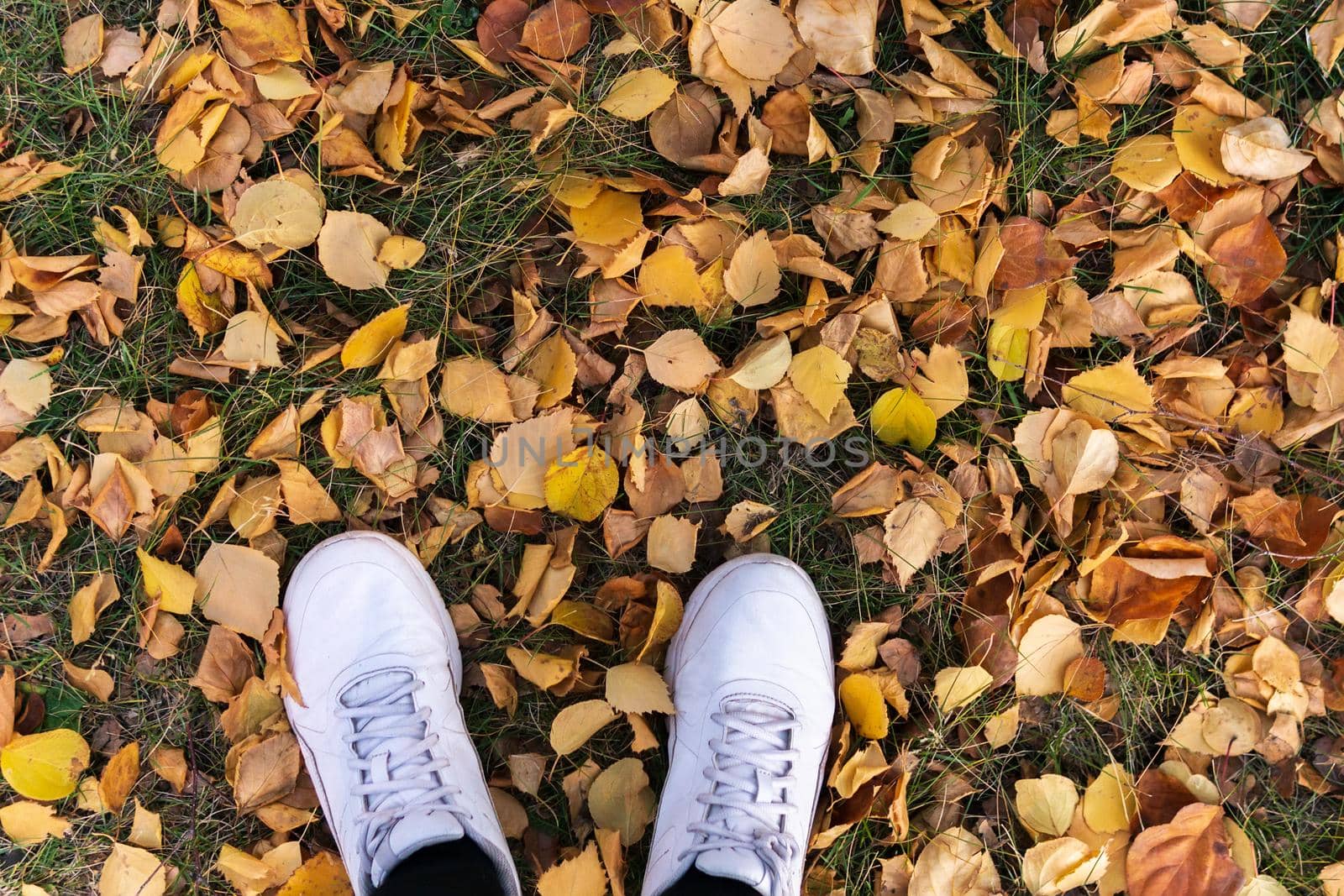 Top view of a man shoes on a layer of yellow autumn leaves fallen from the trees. autumn concept.
