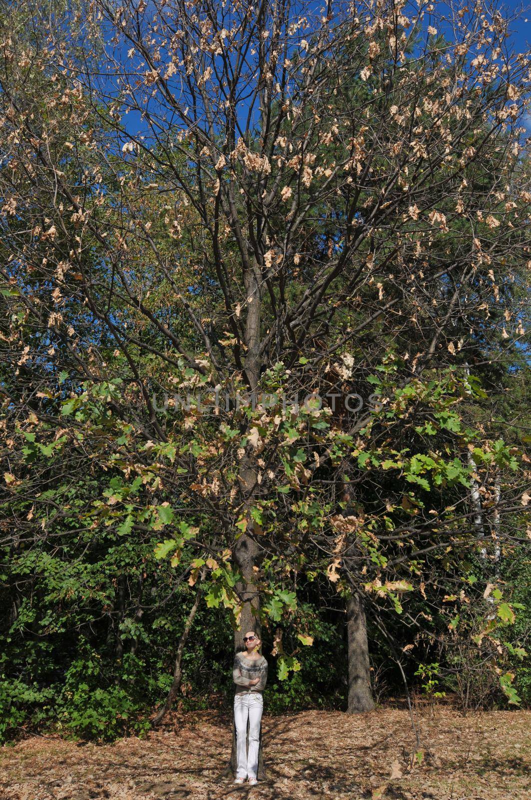 Lonely girl standing under oak tree on a autumn day