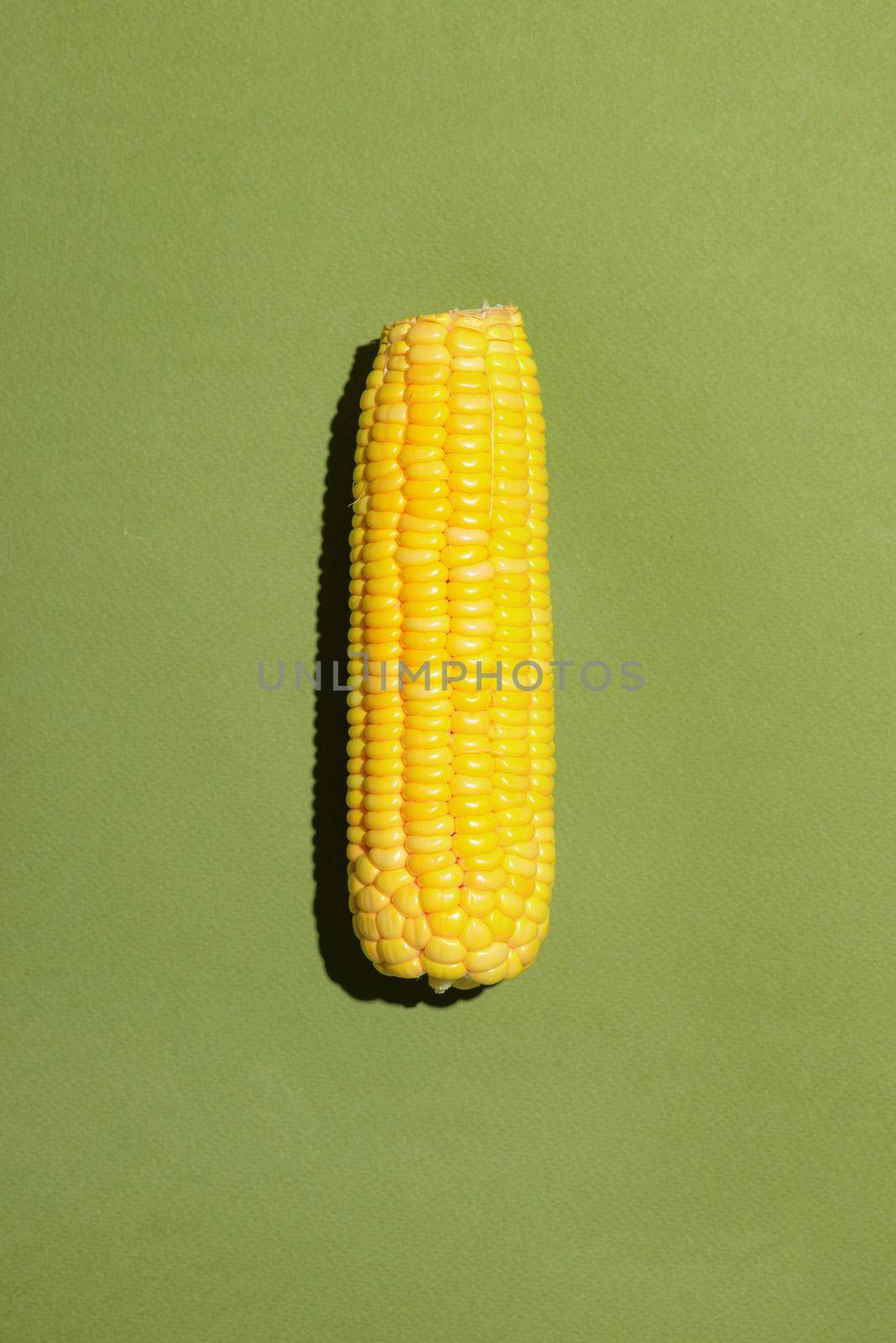 Fresh corn cob on green background. Ripe corn vegetables