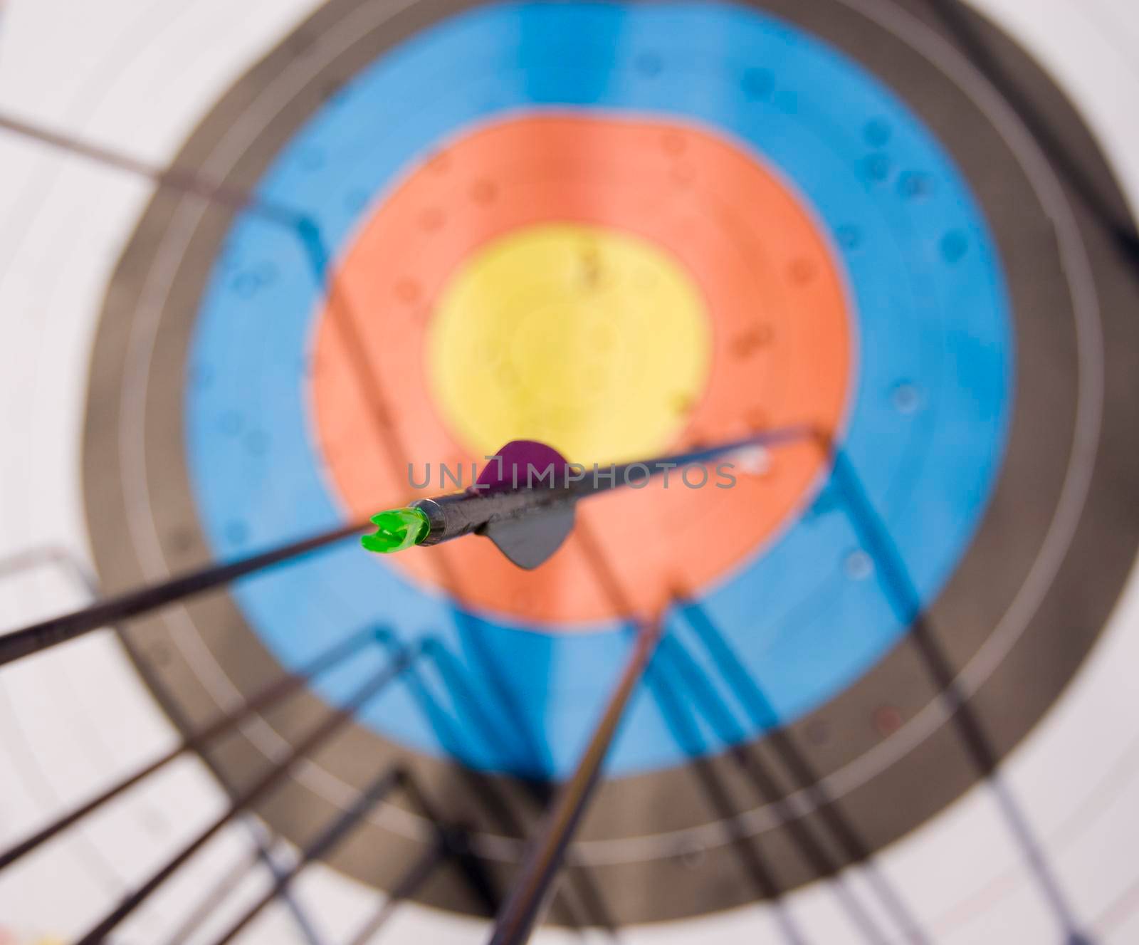 Bunch of arrows in the target with focus on one arrow's tail