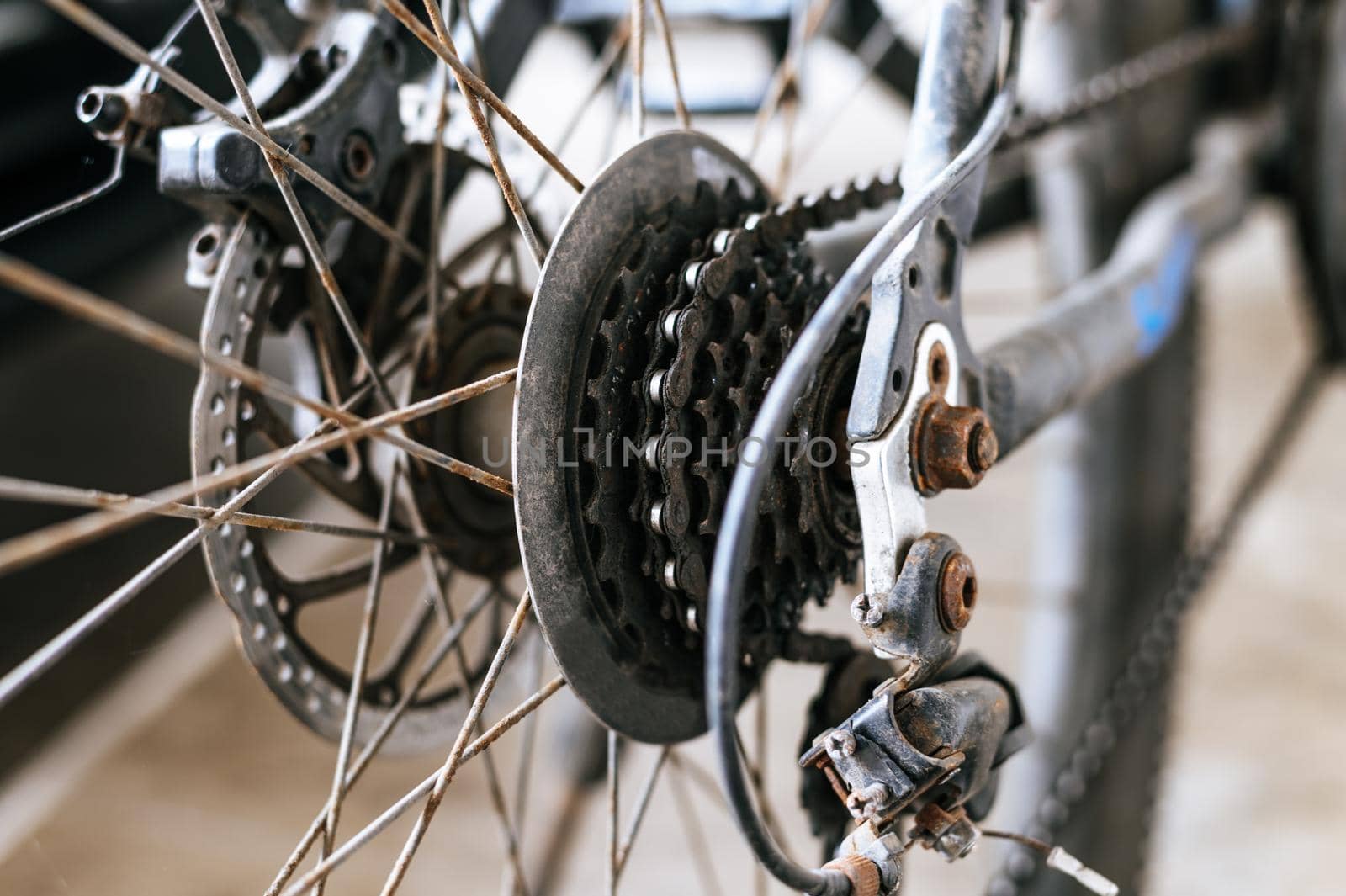 Parts of a bicycle, view of pinion and drive system, rear disc brake