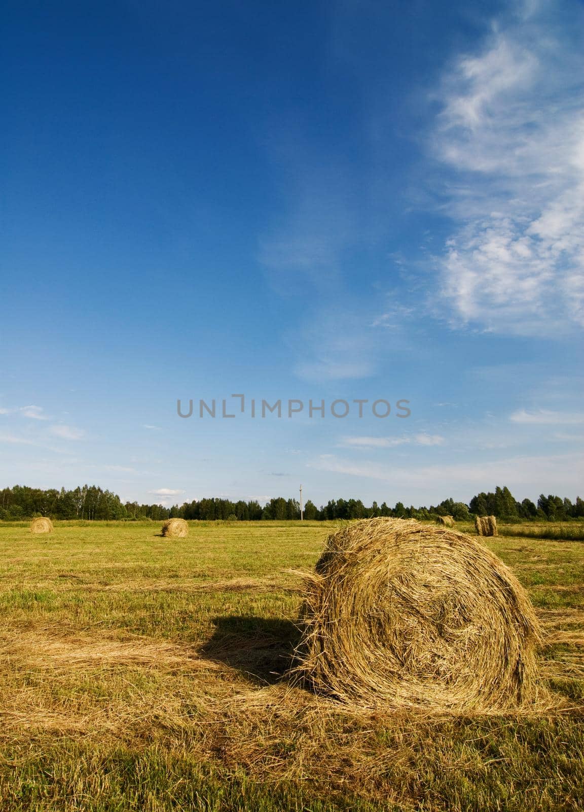 Field with rolled hayricks on it