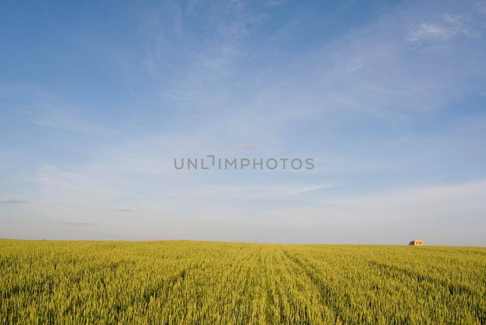 Yellow car goes through countryside landscape