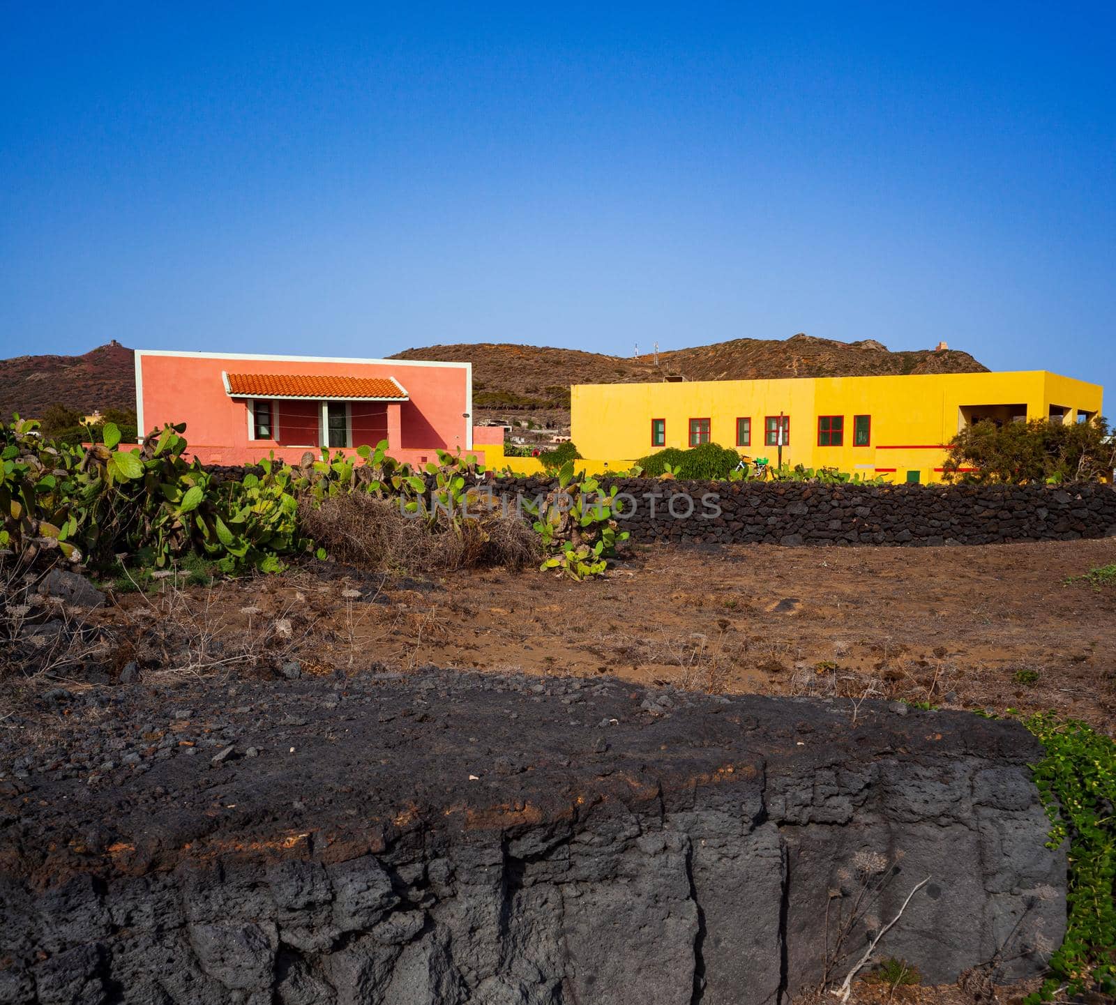 Characteristic view of Linosa with the typical colorful houses and the pricly pears in the garden