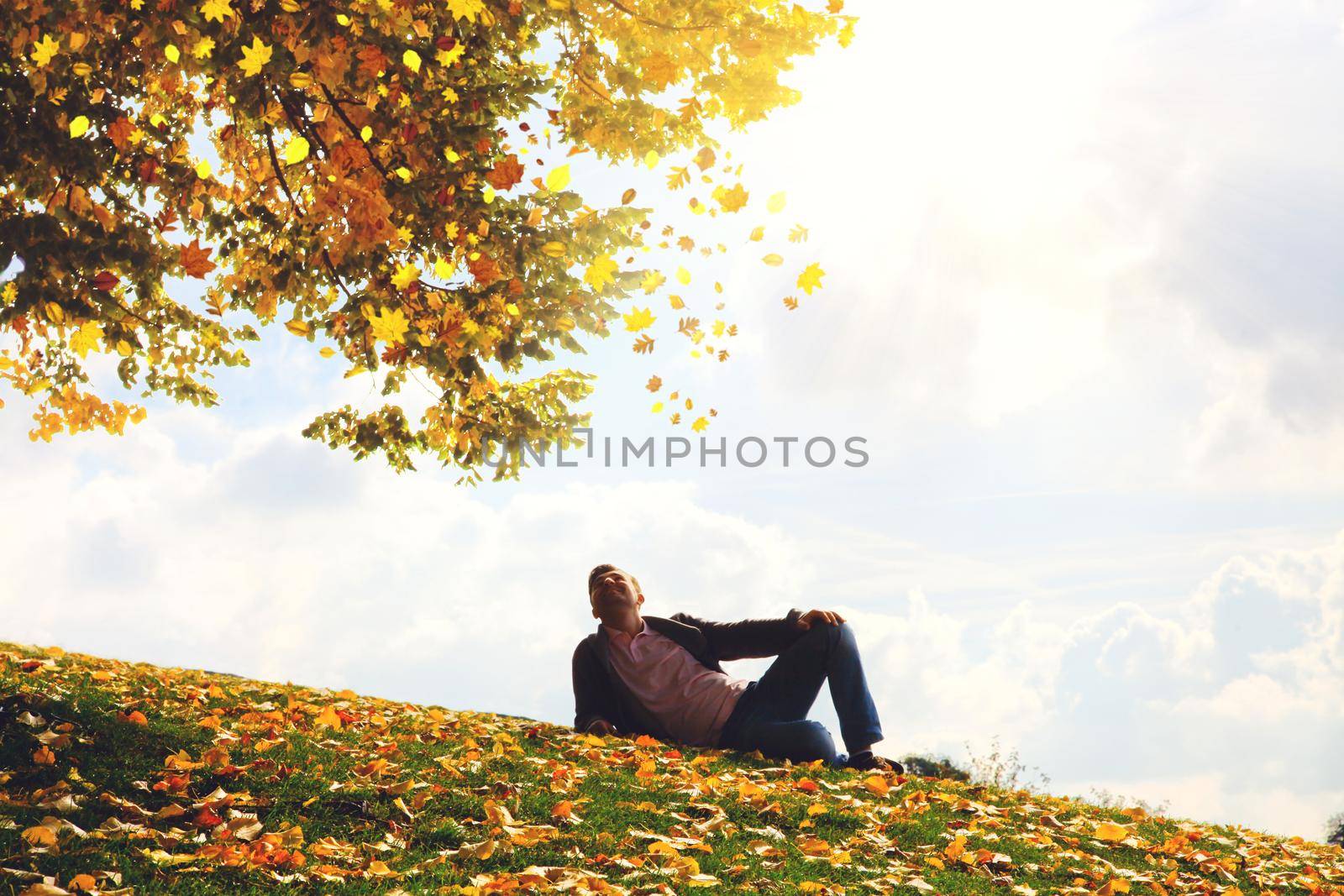 Colorful bright leaves falling in autumnal park. by Taut