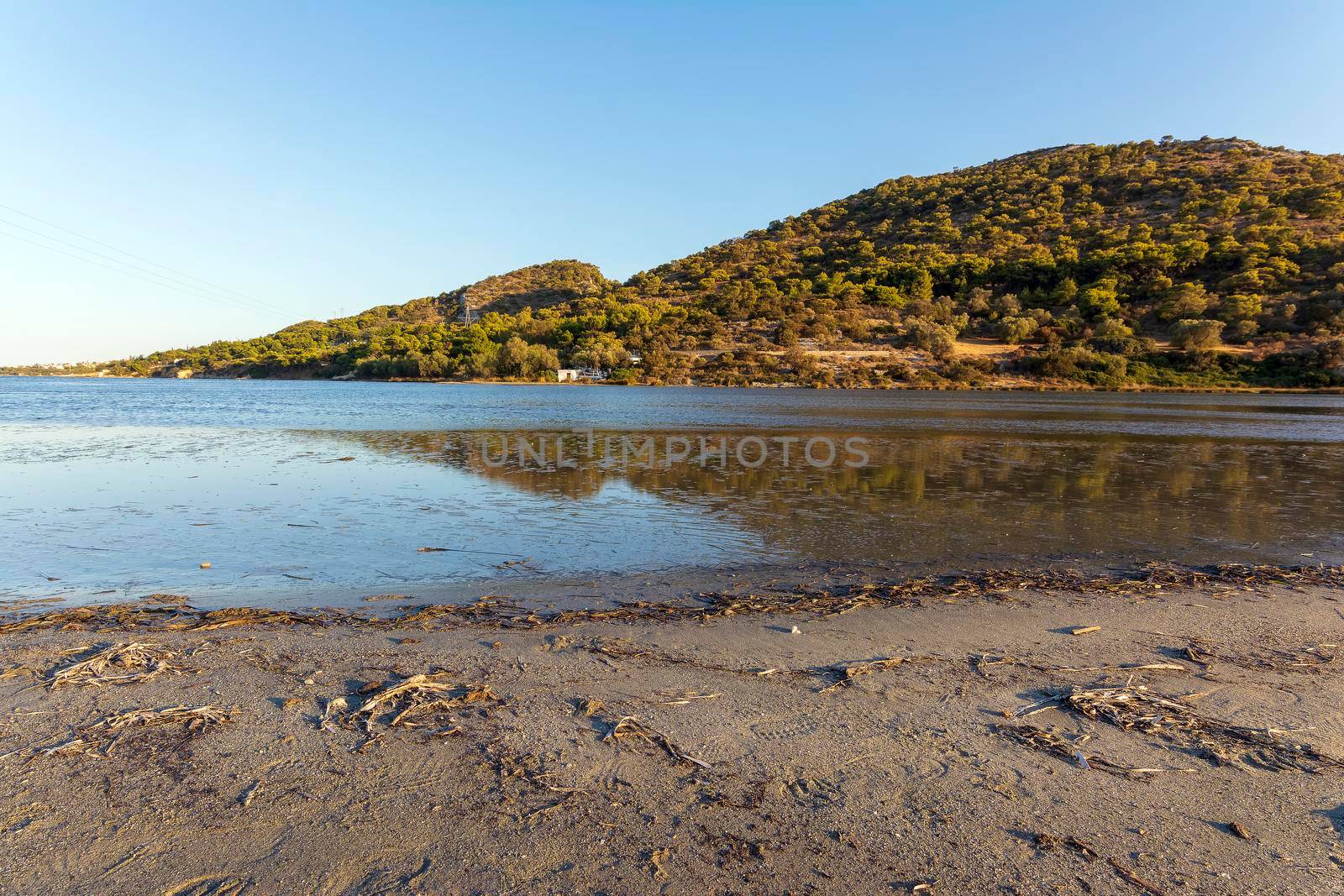 View of the famous wetland at Vravrona at Attica, Mesogeia, Greece