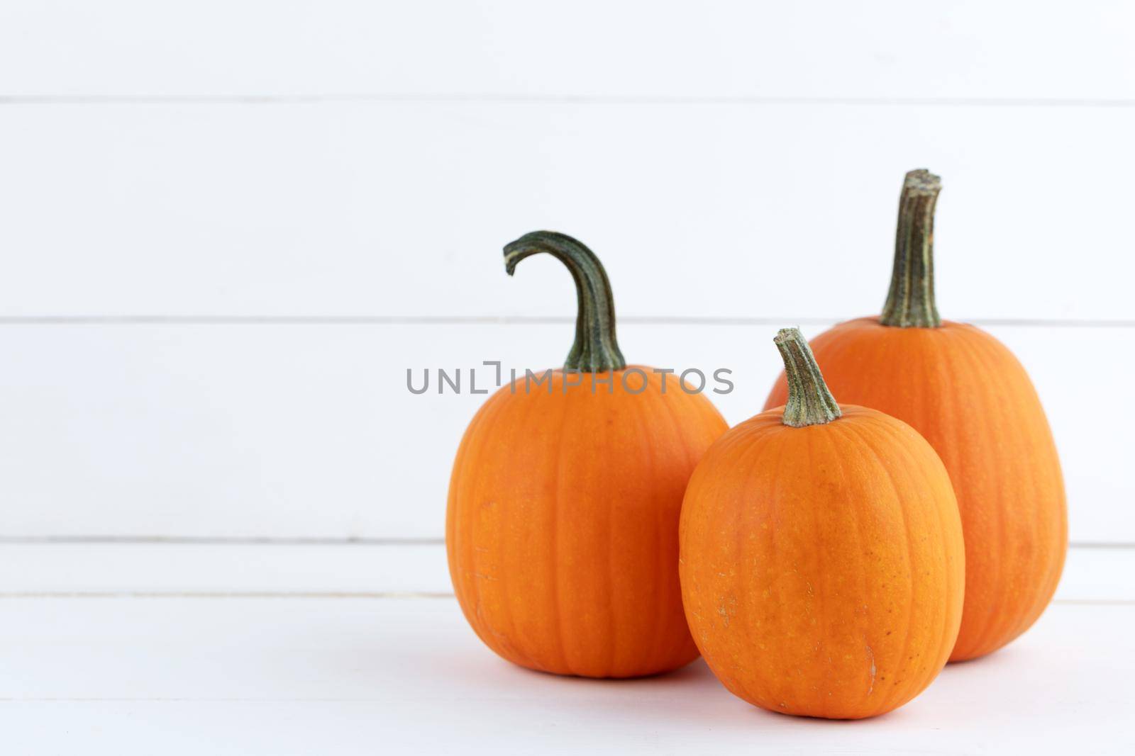 Three pumpkins on white wood by Yellowj