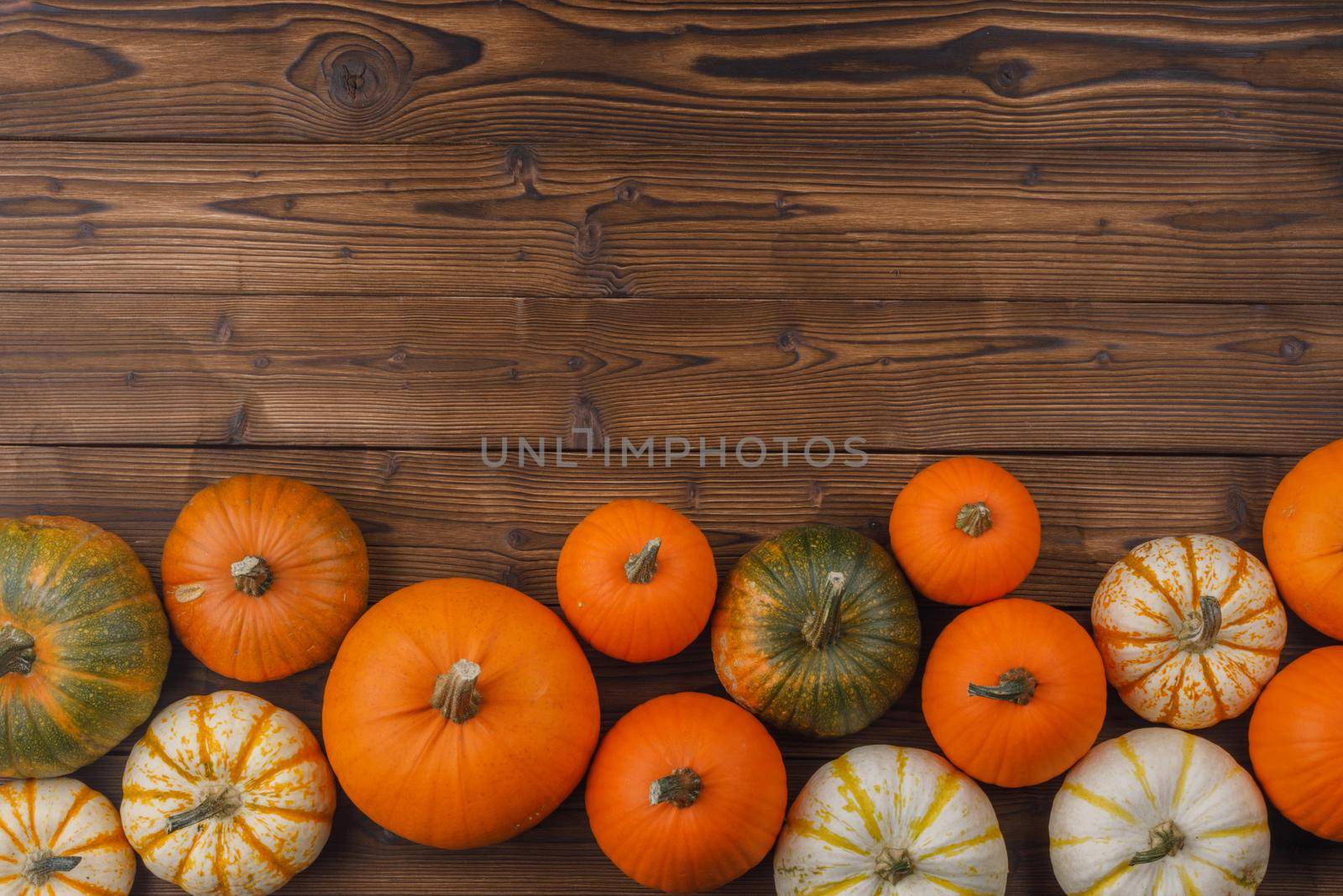 Pumpkin border over rustic wood by Yellowj