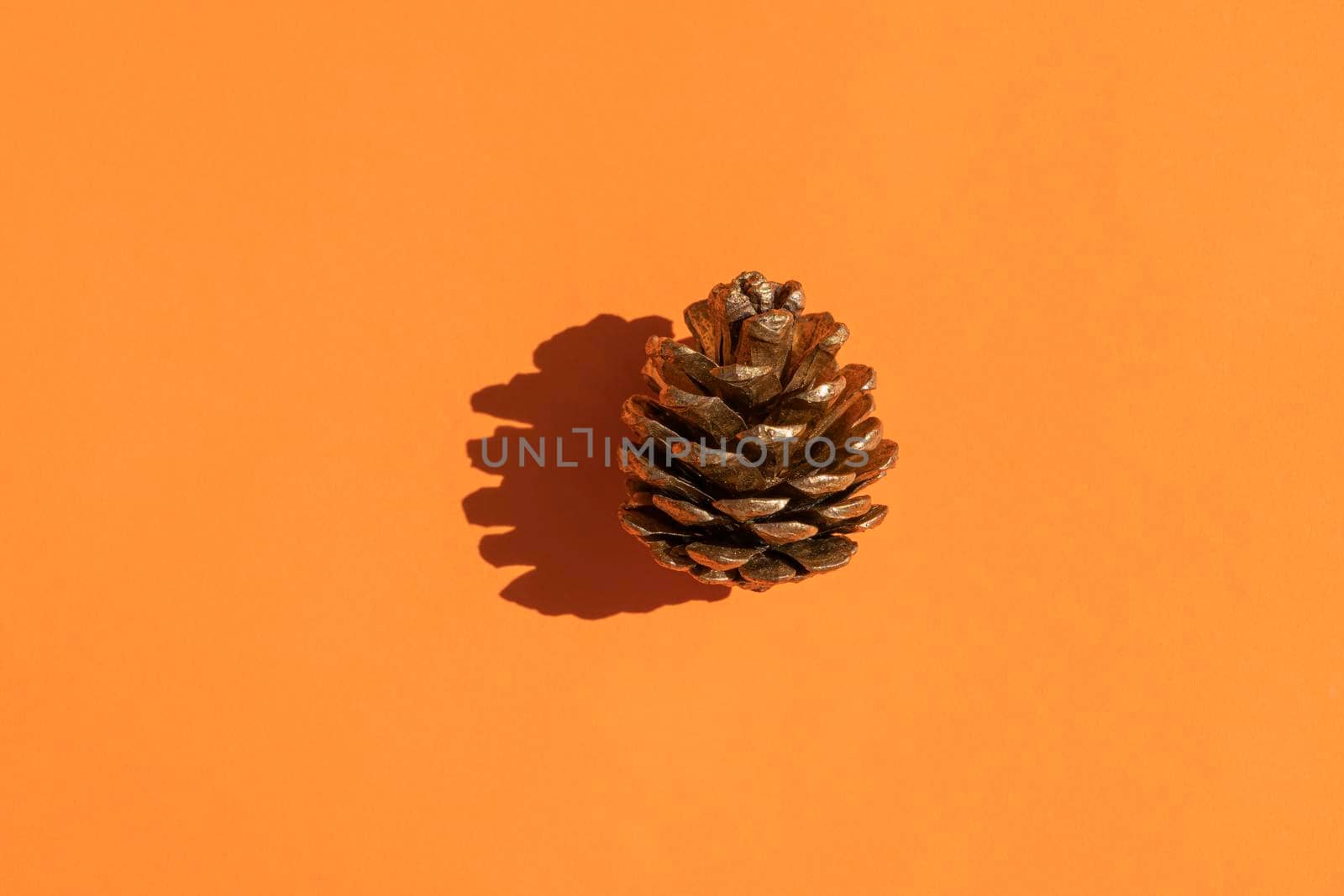 a fir cone with a hard shadow on an orange background. High quality photo
