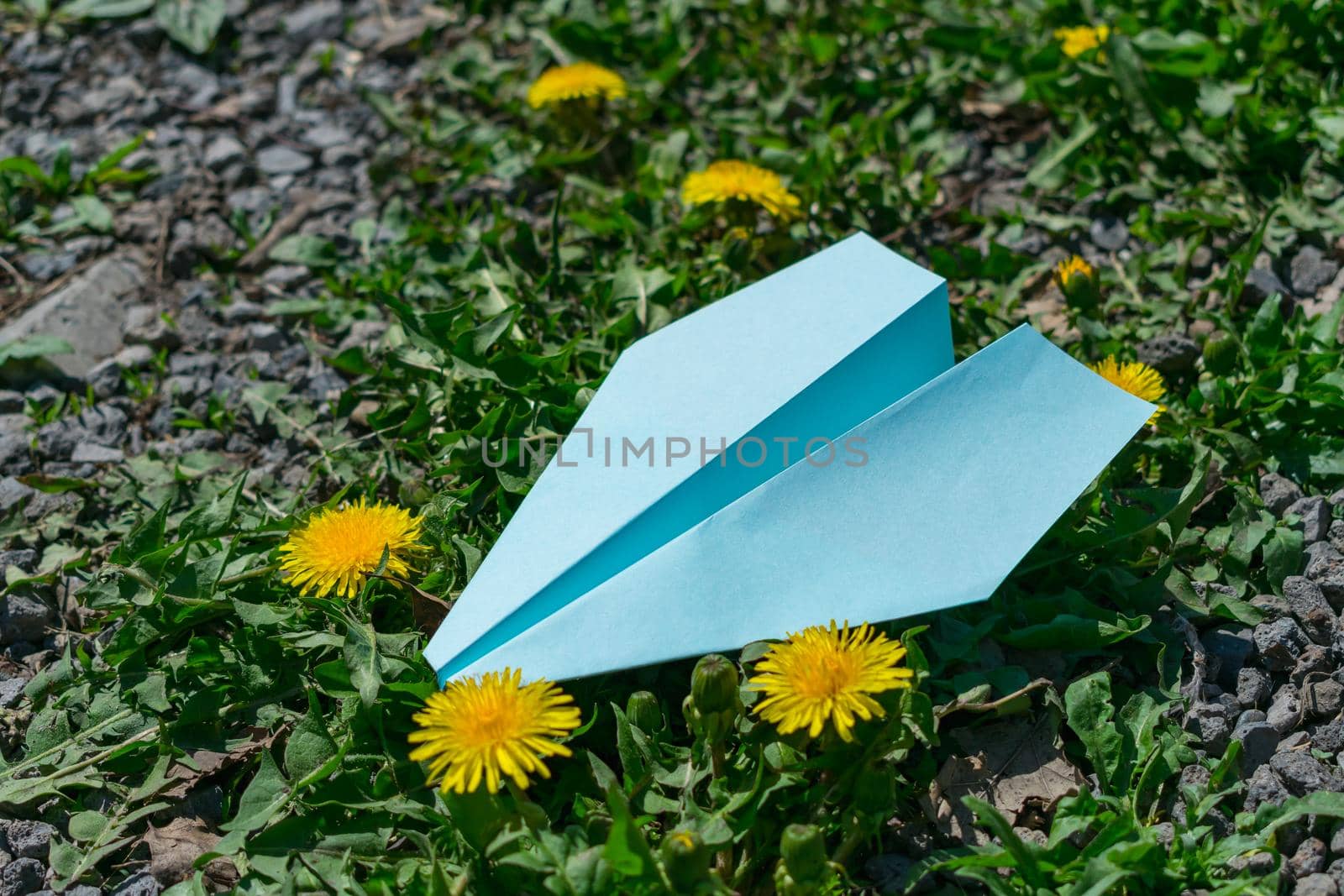 Children's toy paper plane lies in yellow flowers and grass on the ground