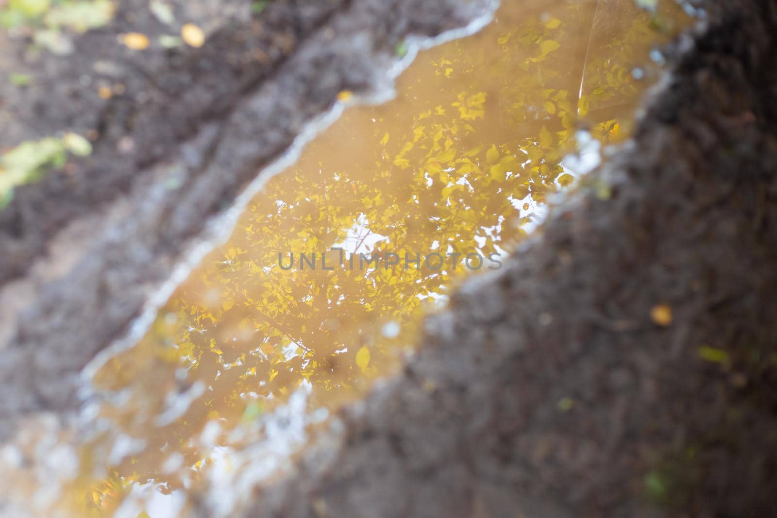 Mud and puddle in autumn. Reflection of a tree with yellowed leaves in the water. Blurred focus.