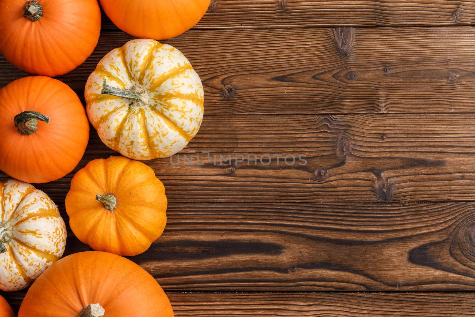 Pumpkin border over rustic wood by Yellowj