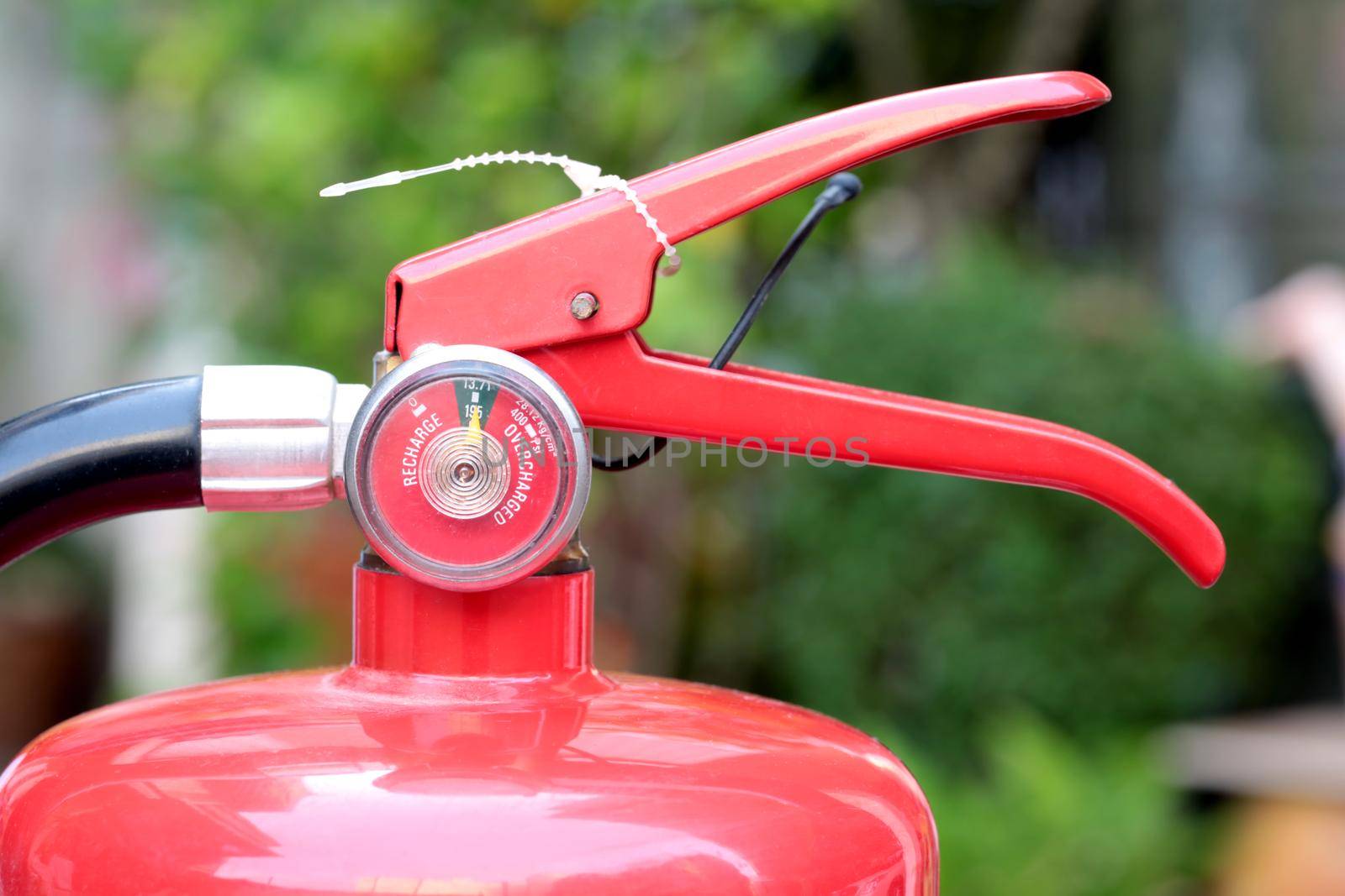 Close- up Fire extinguisher red tank with green background. by jayzynism