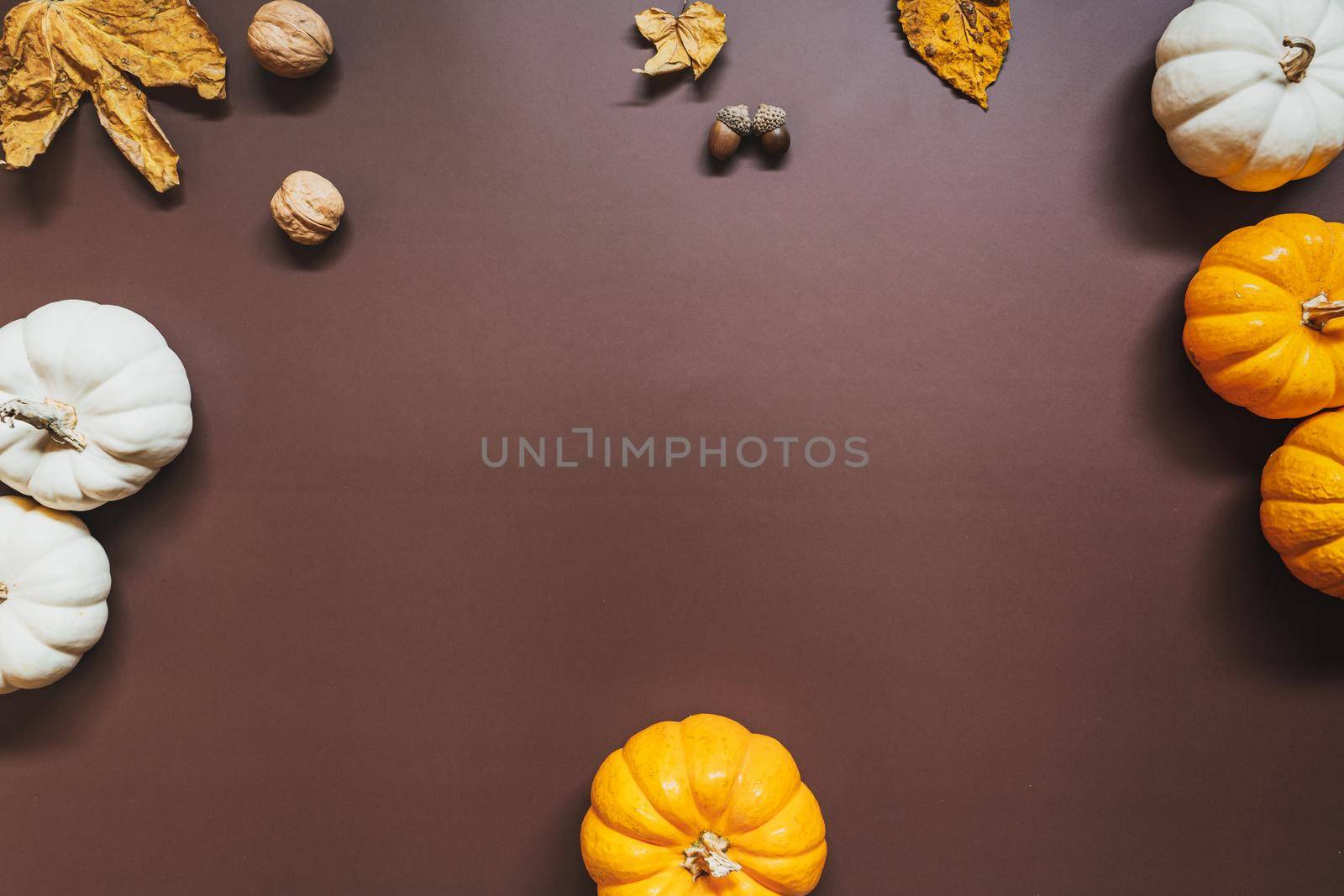 Happy Thanksgiving Day with pumpkin and nut on the table