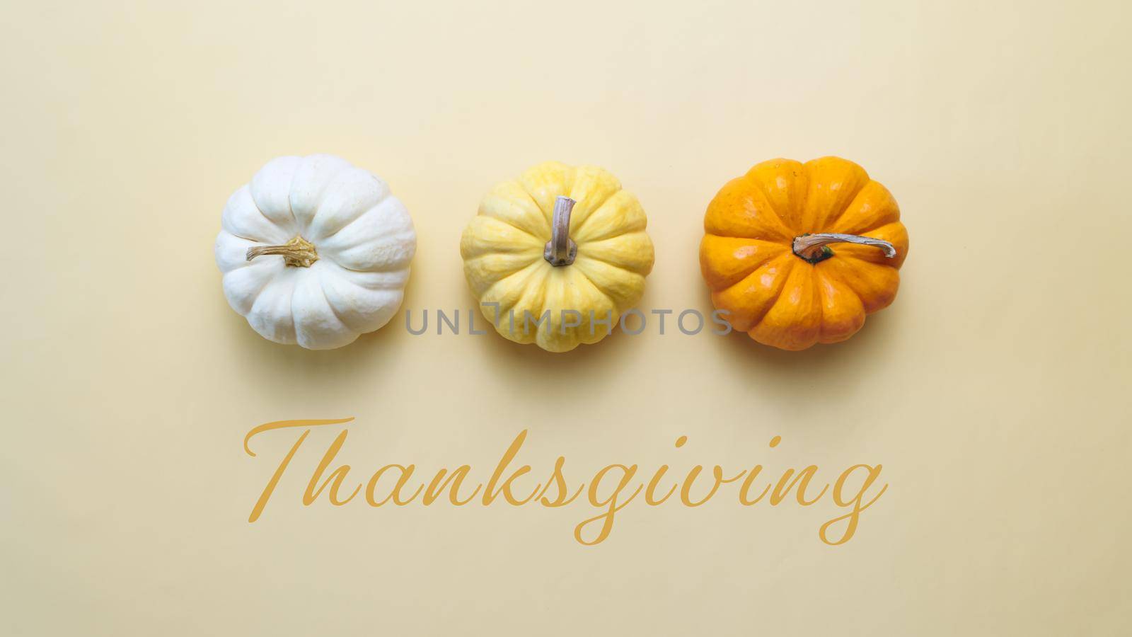 Happy Thanksgiving Day with pumpkin and nut on yellow background