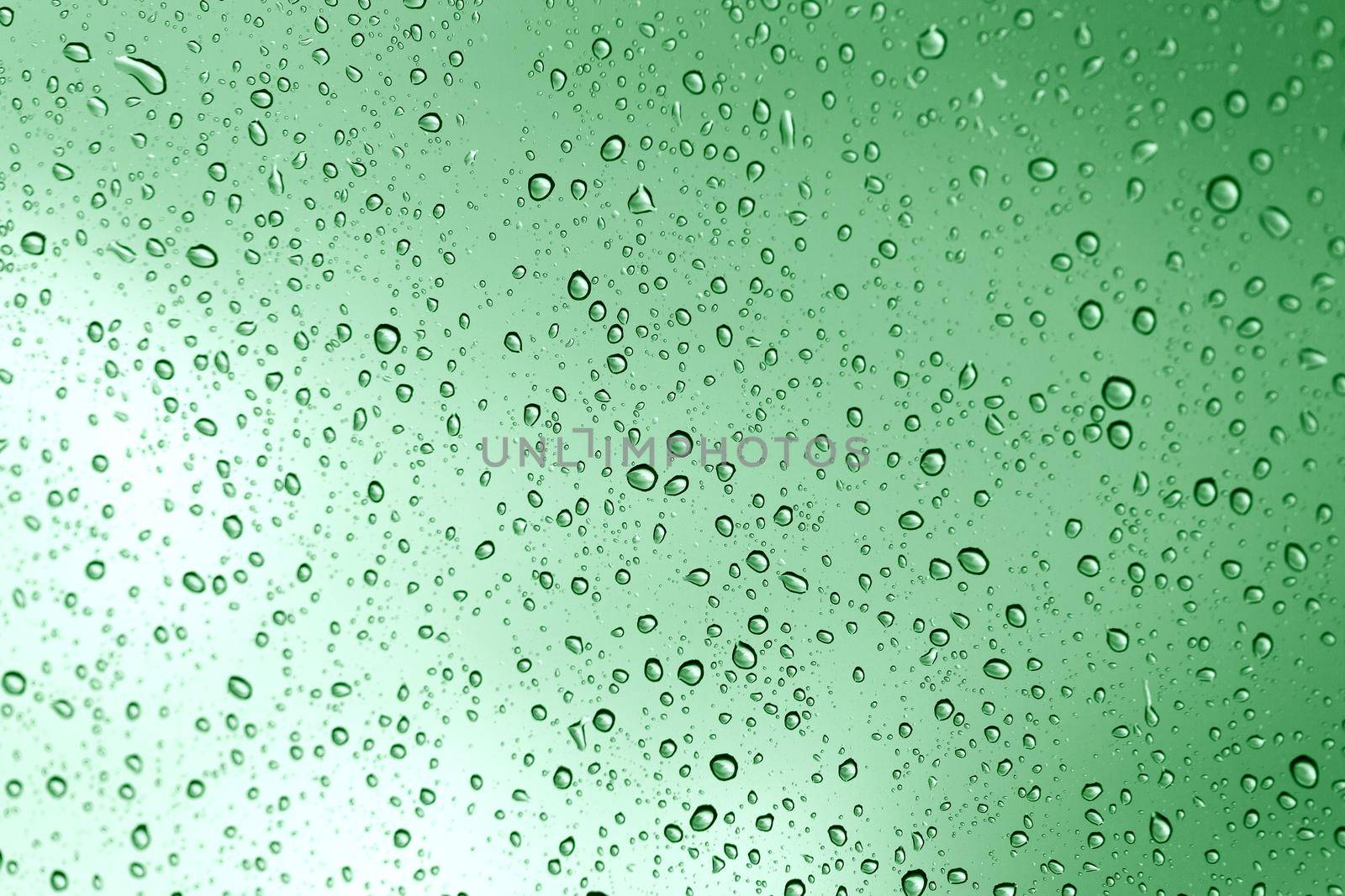 Rainy water drop green on glass mirror background.