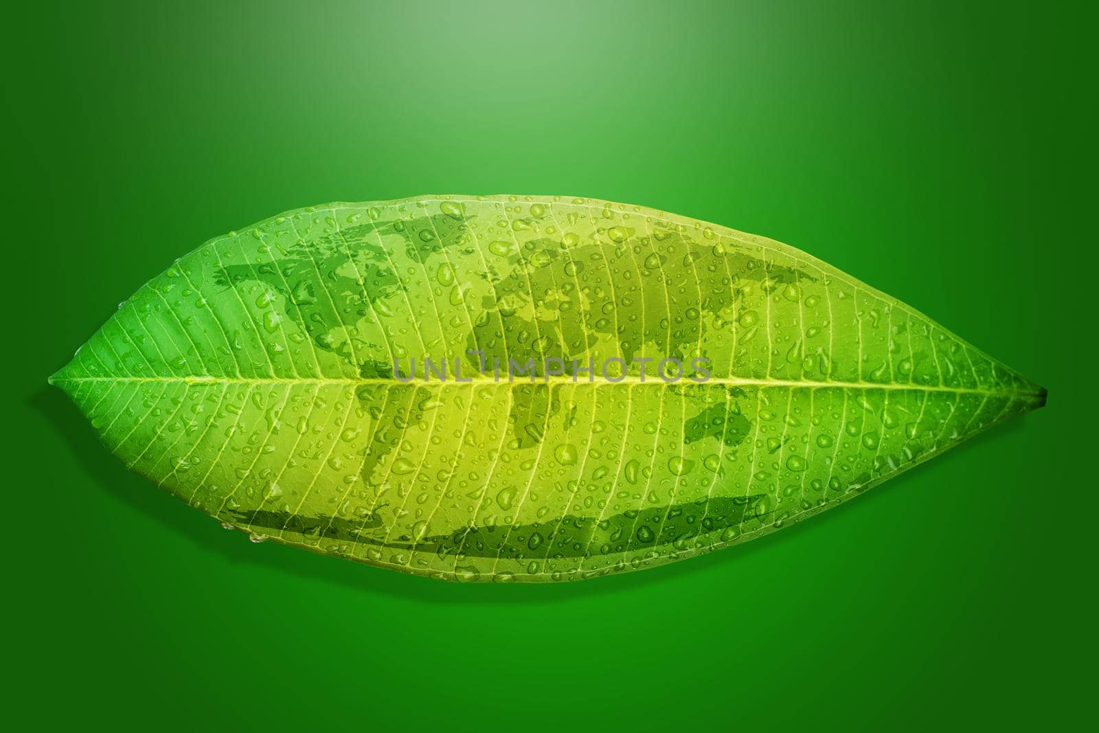 Green leaf environment concept save the earth. 