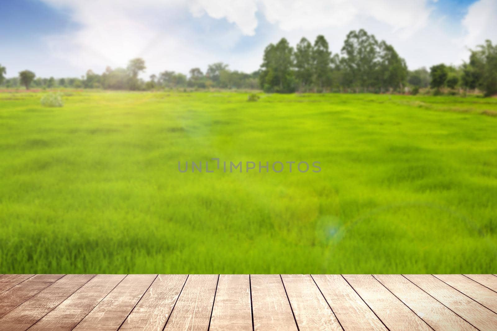 Wooden table with environmental on grassland field.